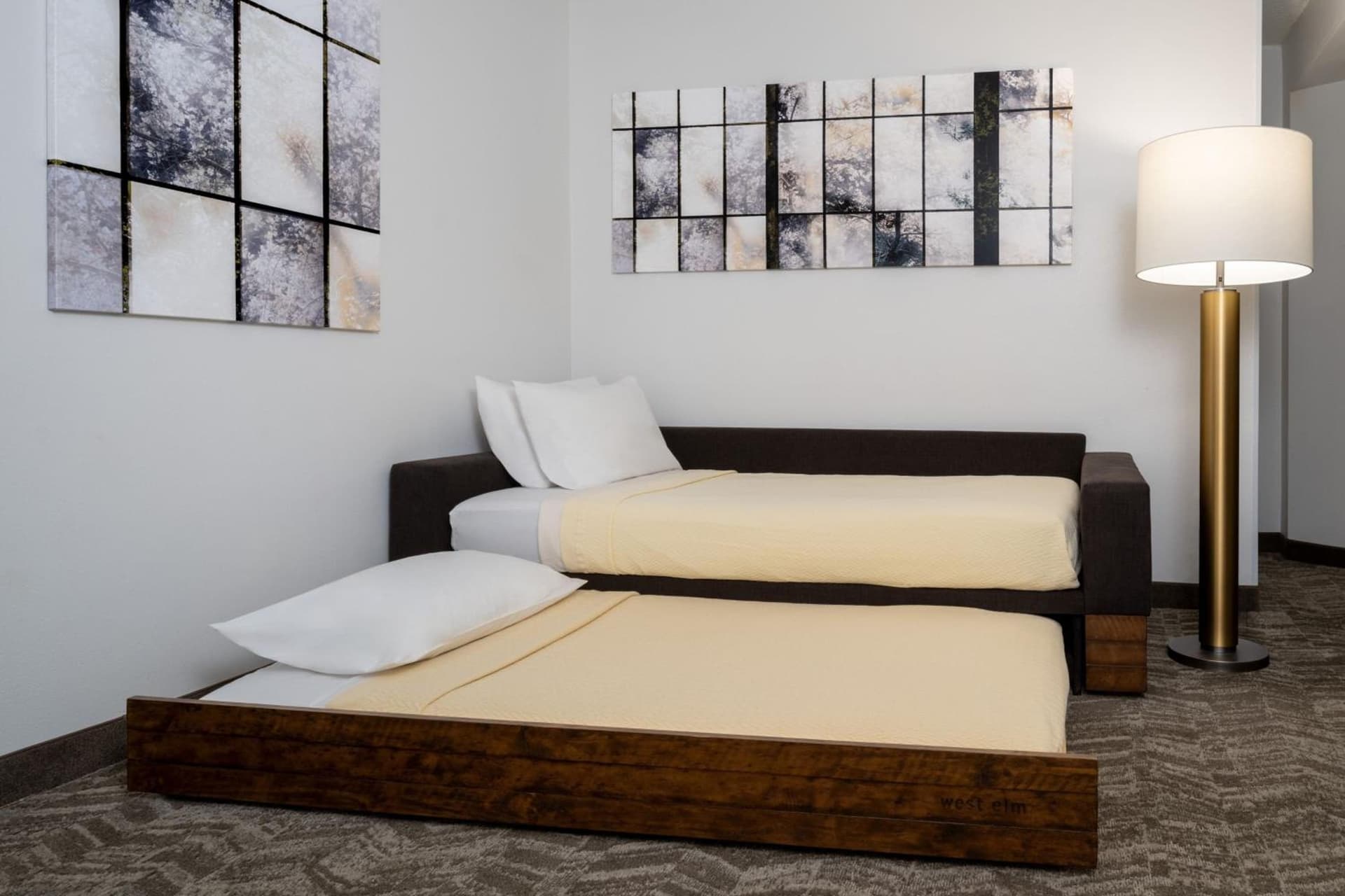 SpringHill Suites Gainesville gallery photo in Gainesville, FL — image 42