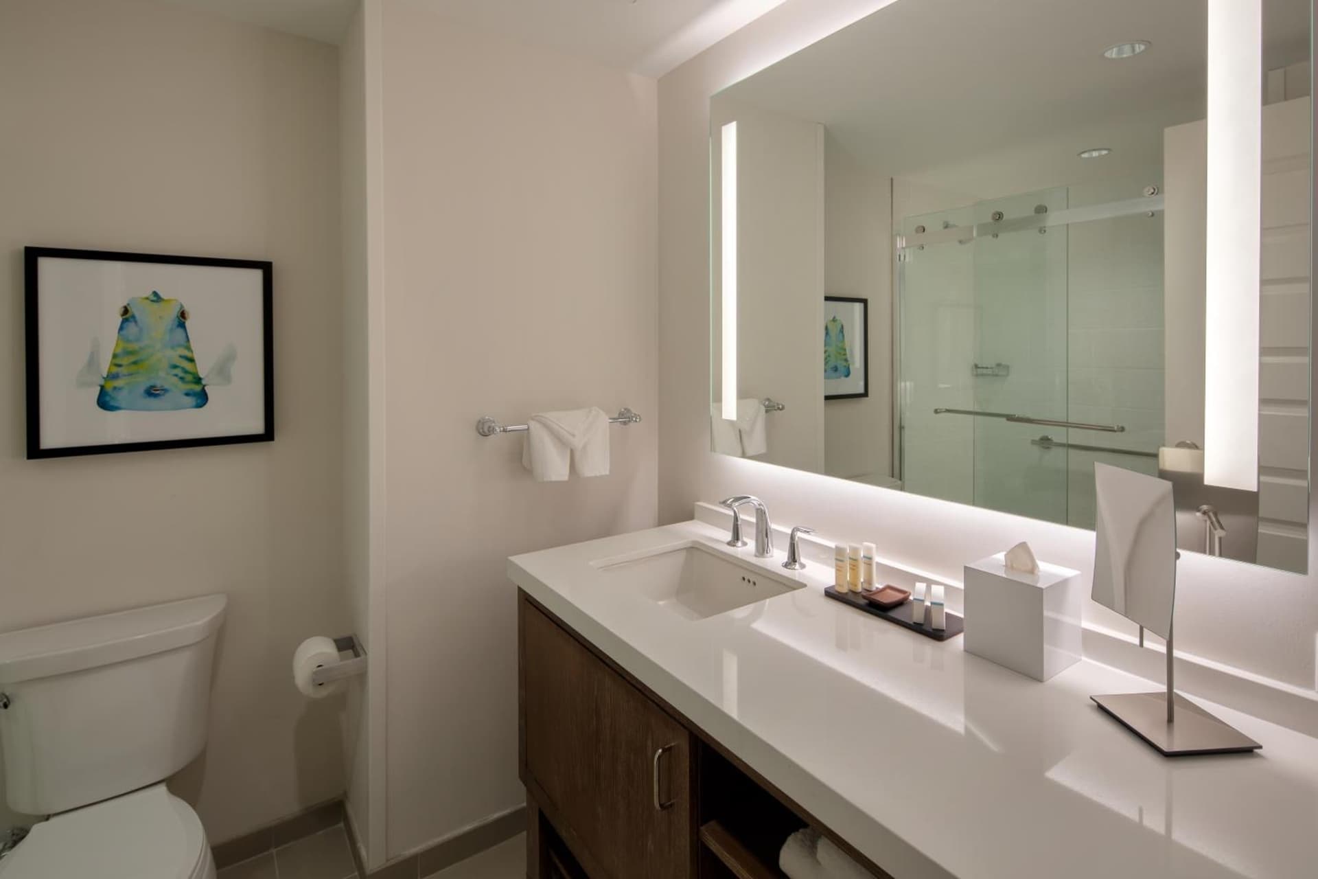 Embassy Suites St Augustine Beach Oceanfront Resort gallery photo in Saint Augustine Beach, FL — image 33