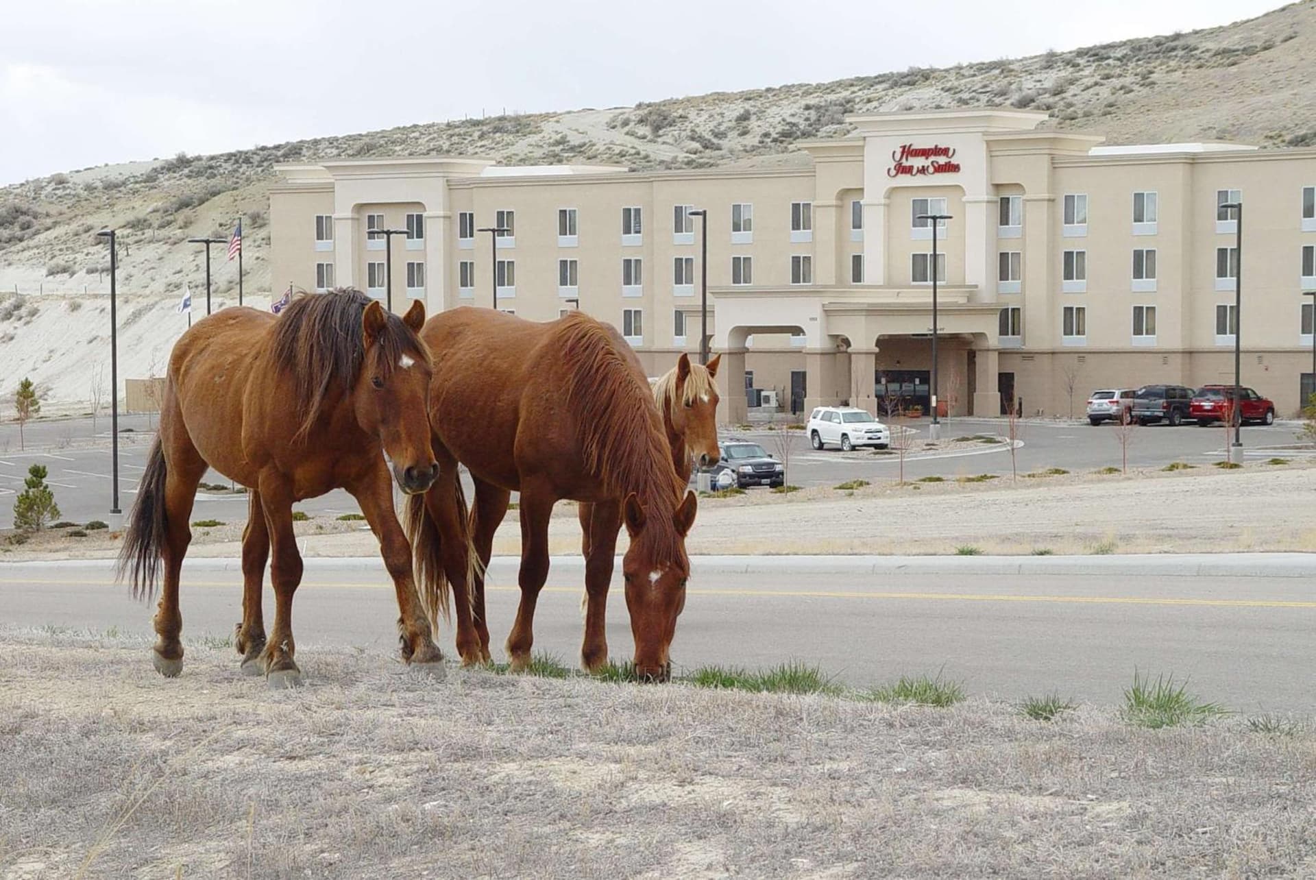 Hampton Inn & Suites Green River property views in Green River, WY — gallery photo 3