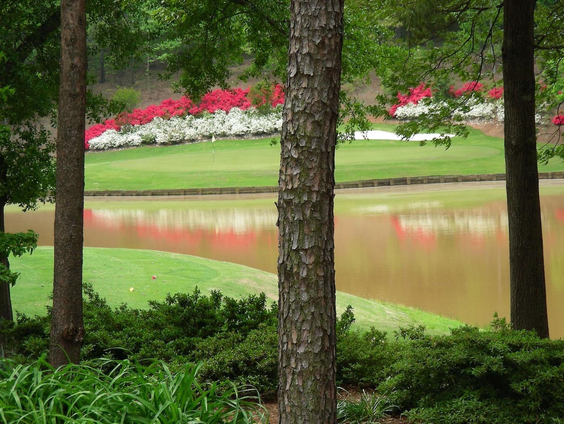 Embassy Suites Greenville Golf Resort & Conference Center gallery photo in Greenville, SC — image 18
