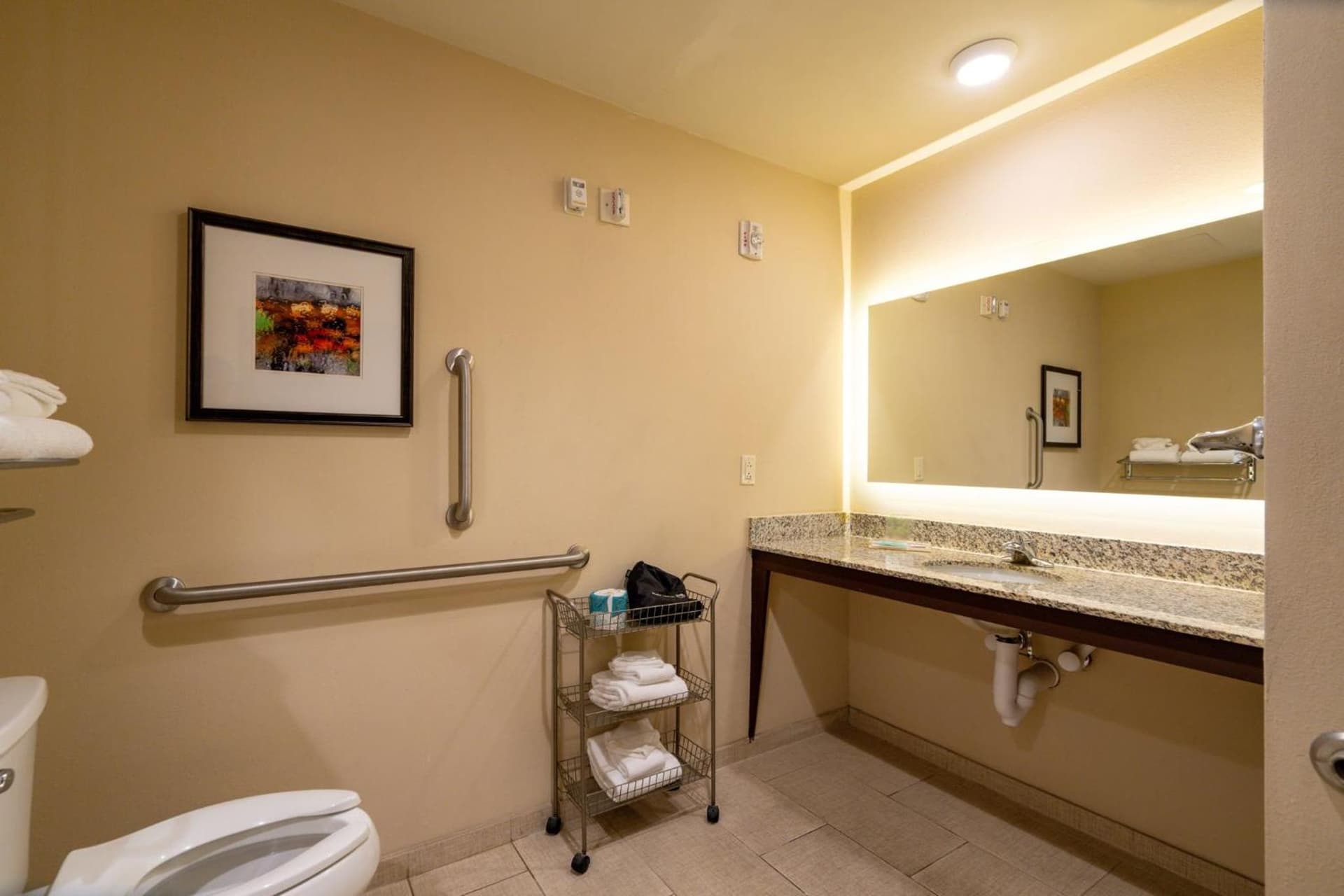 Holiday Inn Murfreesboro by IHG gallery photo in Murfreesboro, TN — image 11