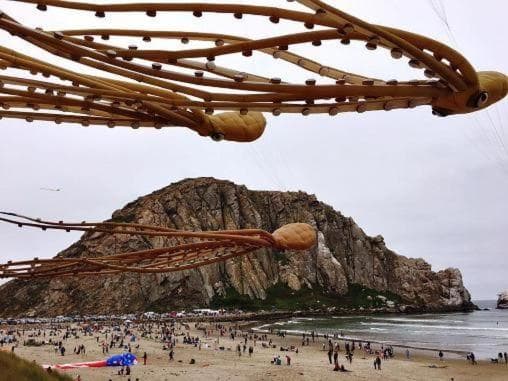 HarborWalk Inn gallery photo in Morro Bay, CA — image 53