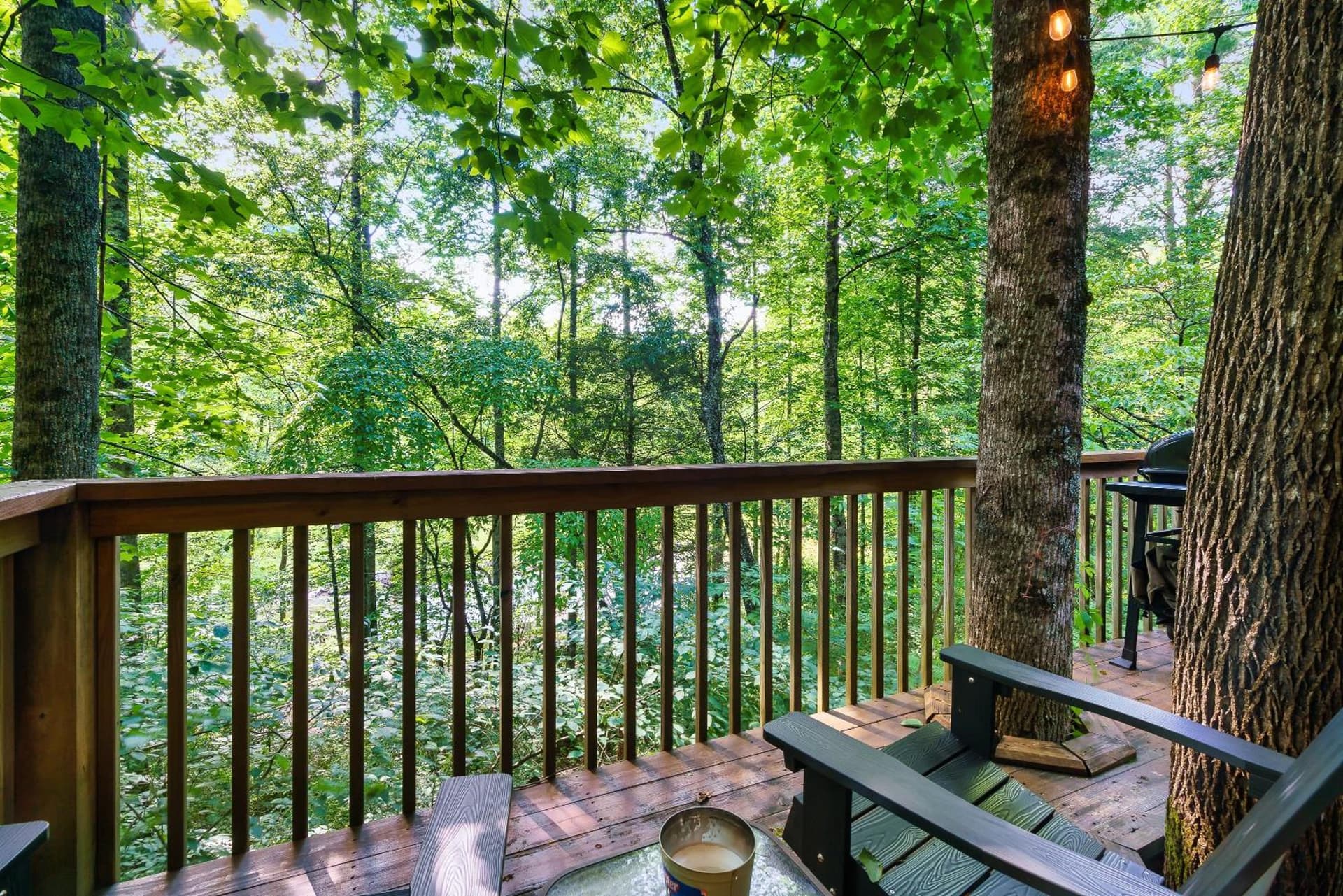 Rivers Edge Treehouses property views in Robbinsville, NC — gallery photo 3