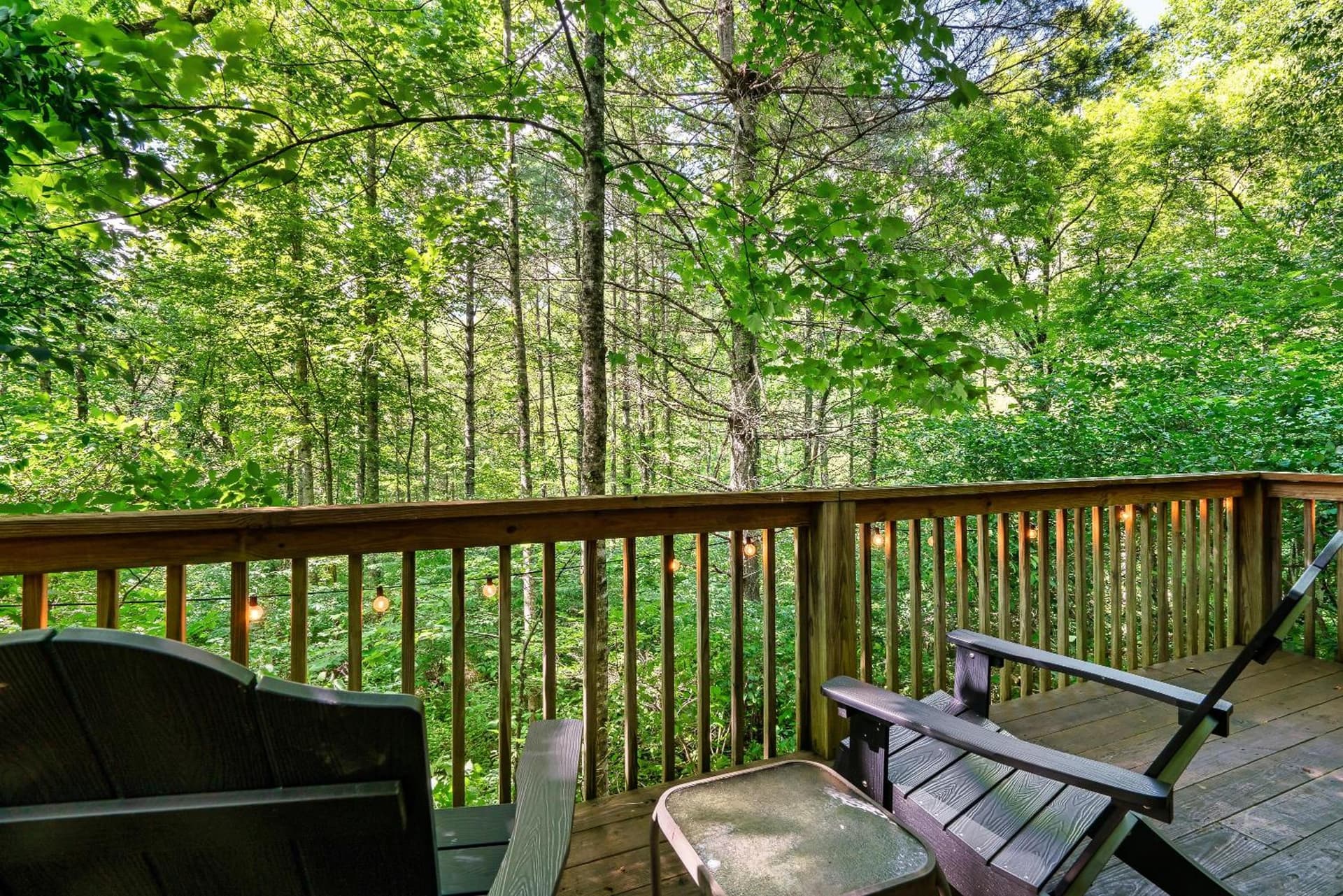 Rivers Edge Treehouses interior in Robbinsville, NC — gallery photo 2