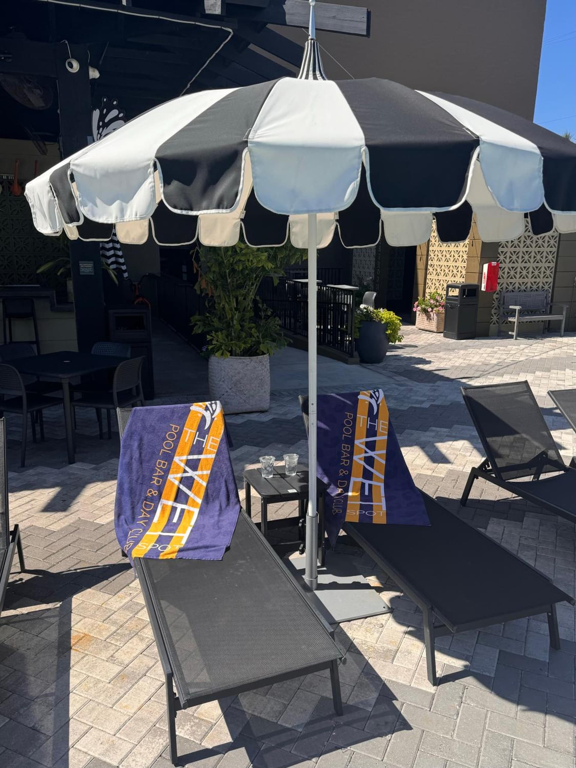 Mari Jean Hotel - All Adults Welcome gallery photo in St. Petersburg, FL — image 34