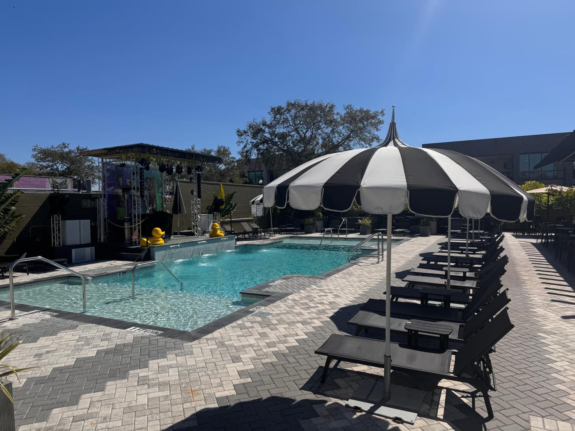 Mari Jean Hotel - All Adults Welcome gallery photo in St. Petersburg, FL — image 31