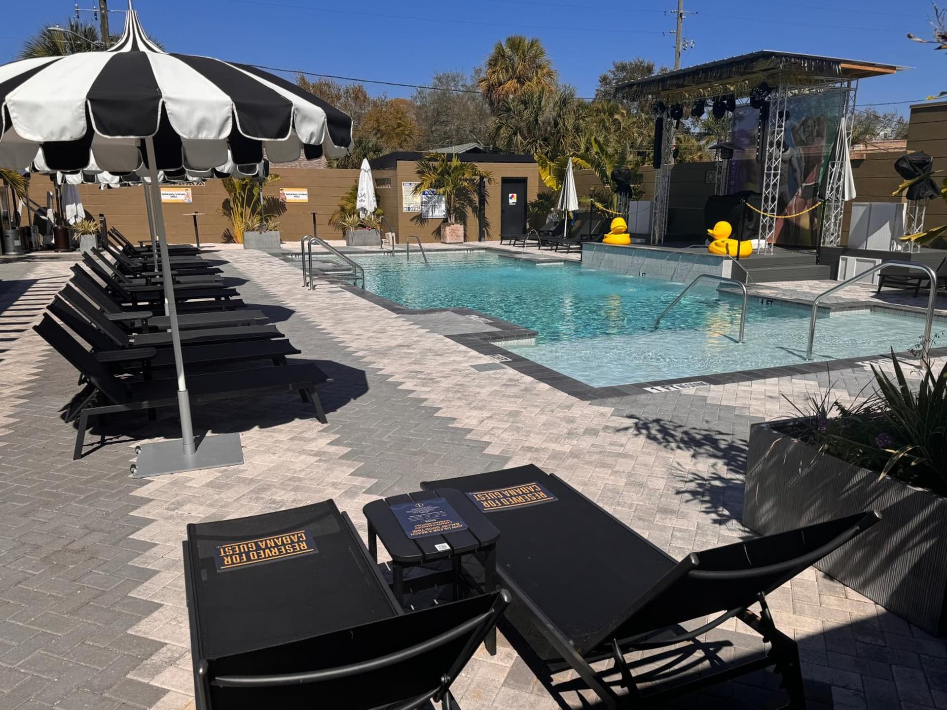 Mari Jean Hotel - All Adults Welcome gallery photo in St. Petersburg, FL — image 9