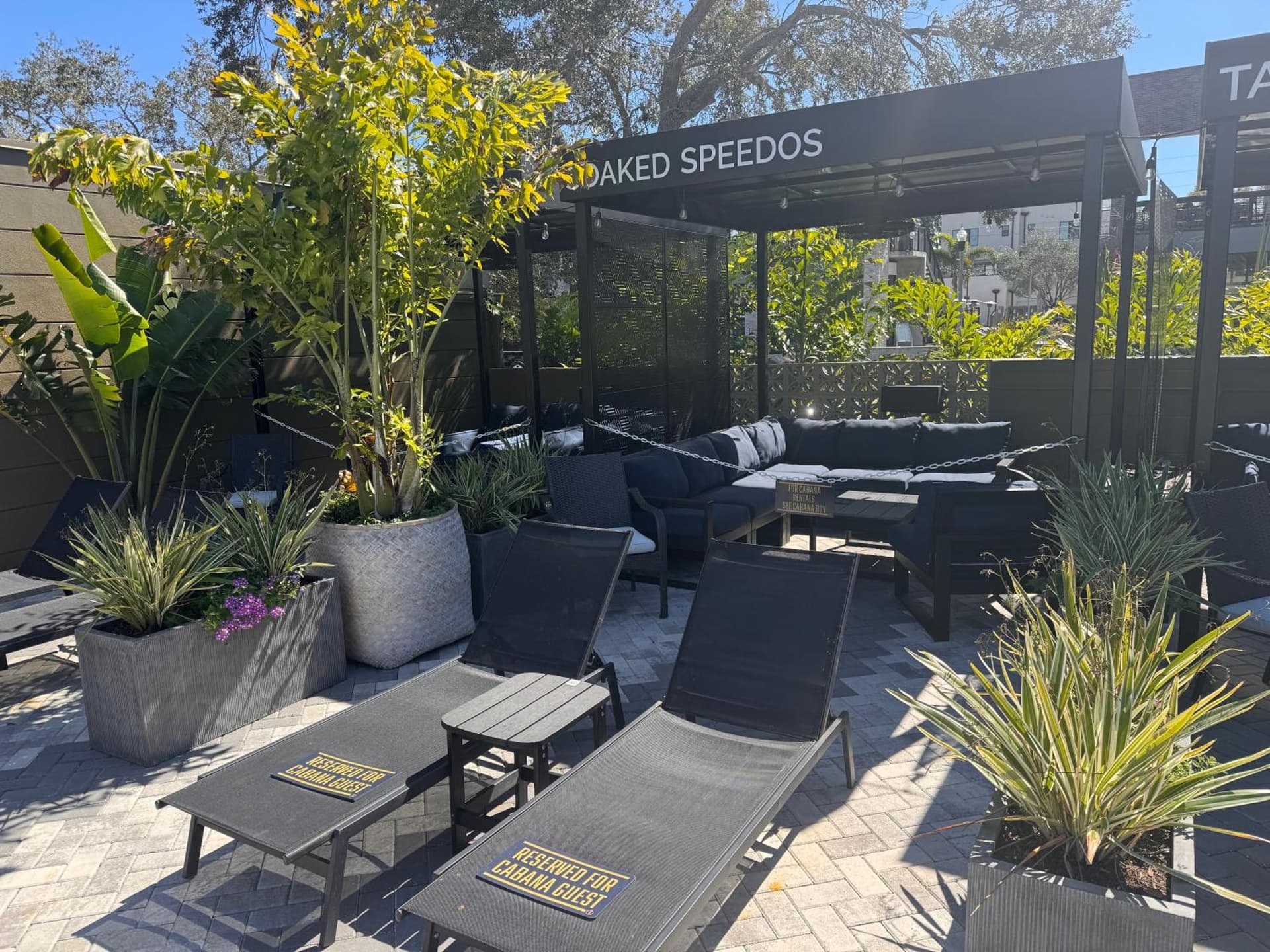Mari Jean Hotel - All Adults Welcome gallery photo in St. Petersburg, FL — image 5