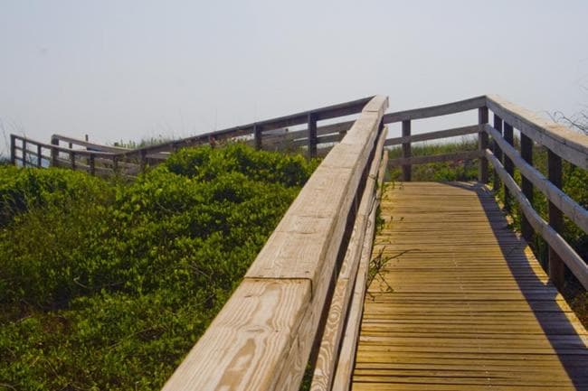 Oceanview Lodge gallery photo in St. Augustine, FL — image 19