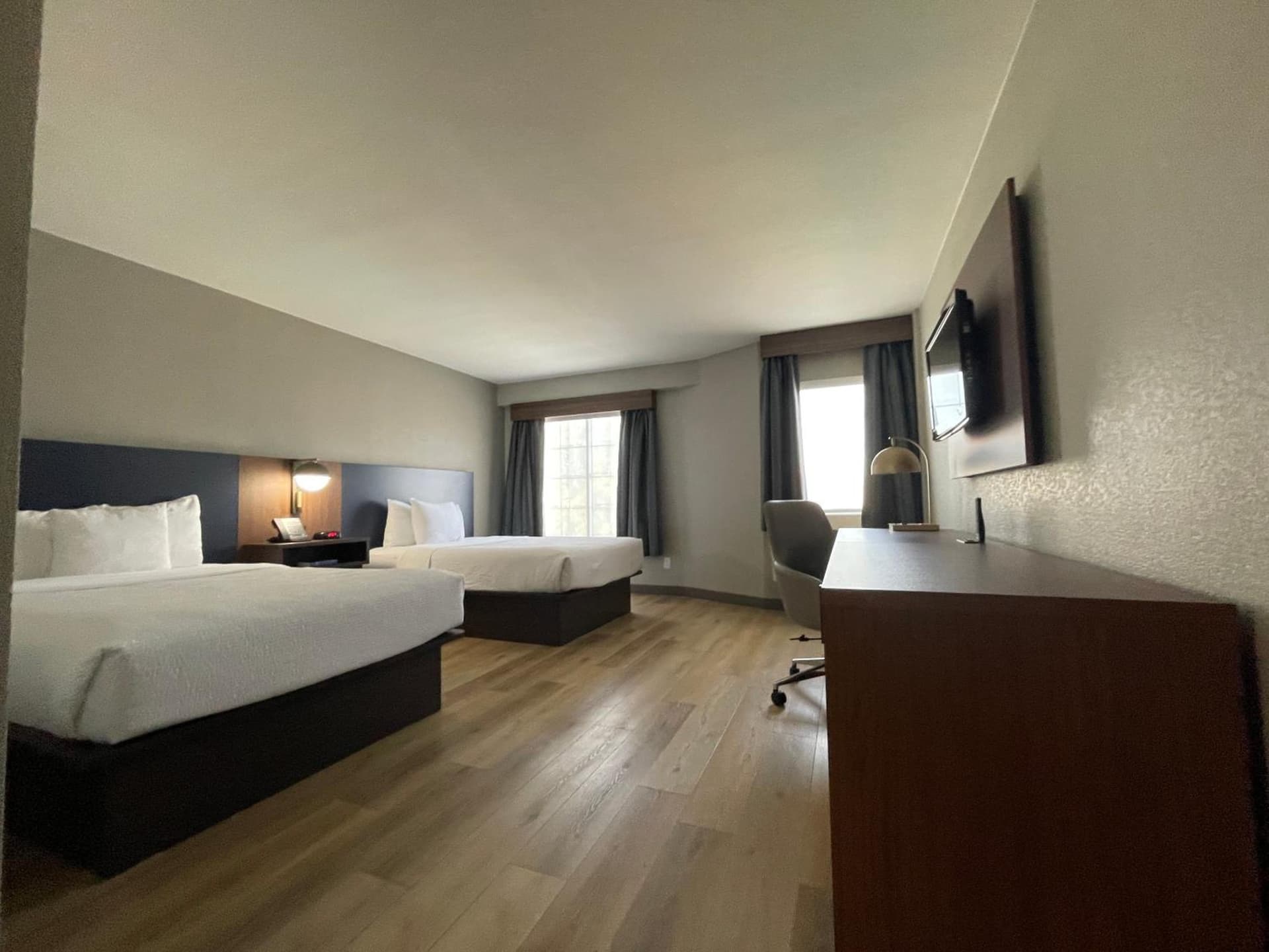 La Quinta by Wyndham Dallas DFW Airport North gallery photo in Irving, TX — image 19