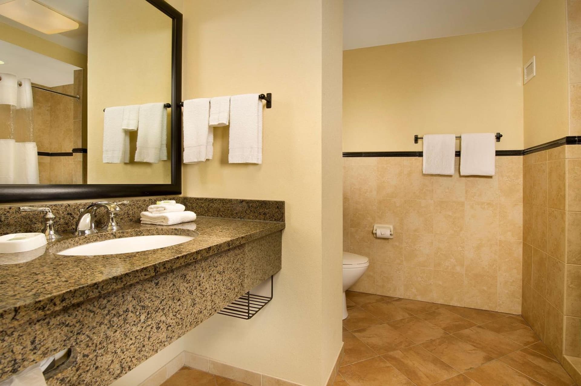 Drury Plaza Hotel San Antonio North Stone Oak property views in San Antonio, TX — gallery photo 3