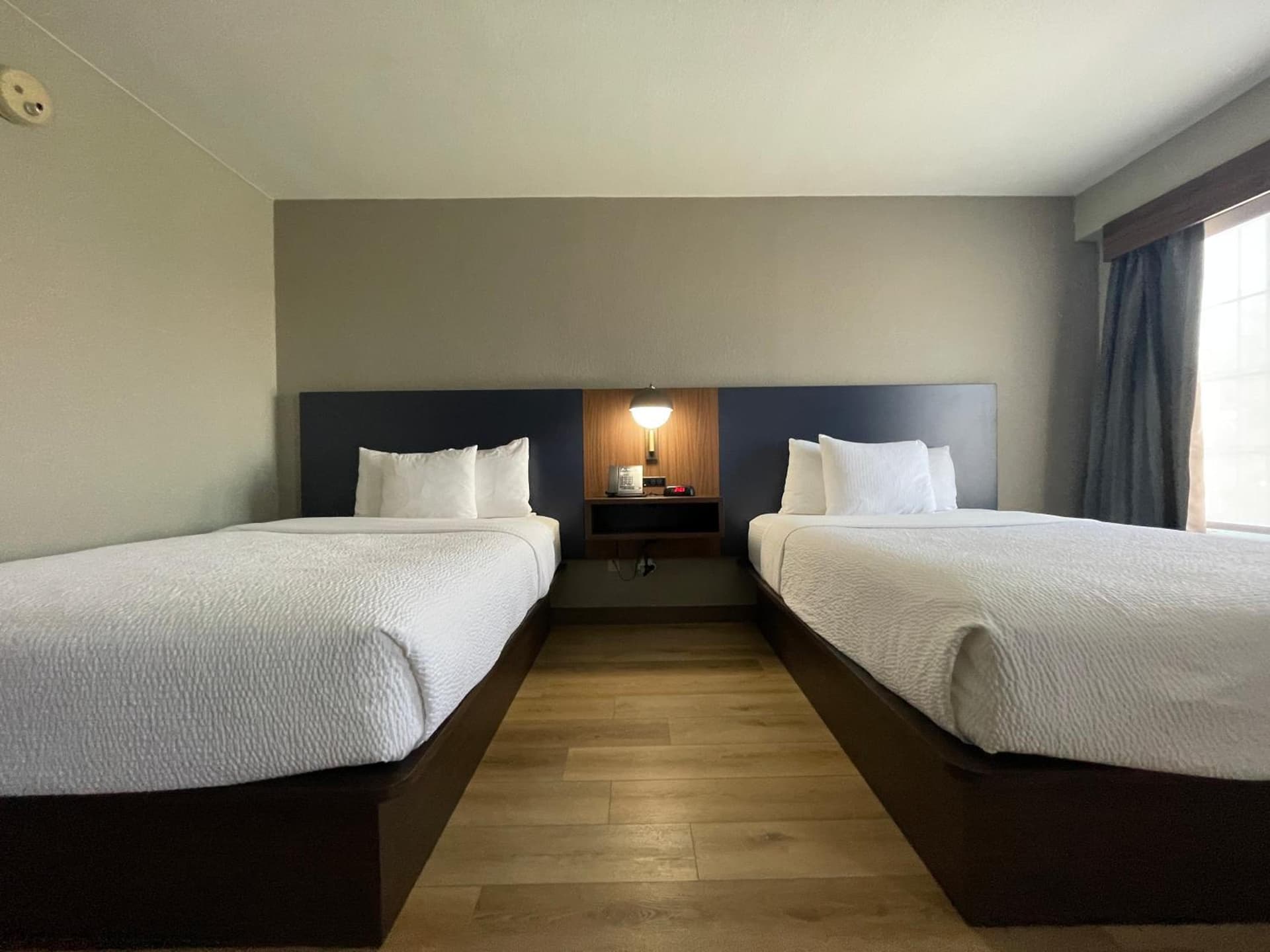 La Quinta by Wyndham Dallas DFW Airport North gallery photo in Irving, TX — image 45