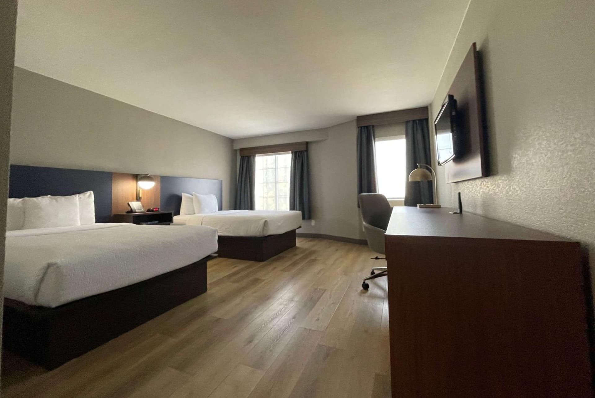 La Quinta by Wyndham Dallas DFW Airport North gallery photo in Irving, TX — image 46