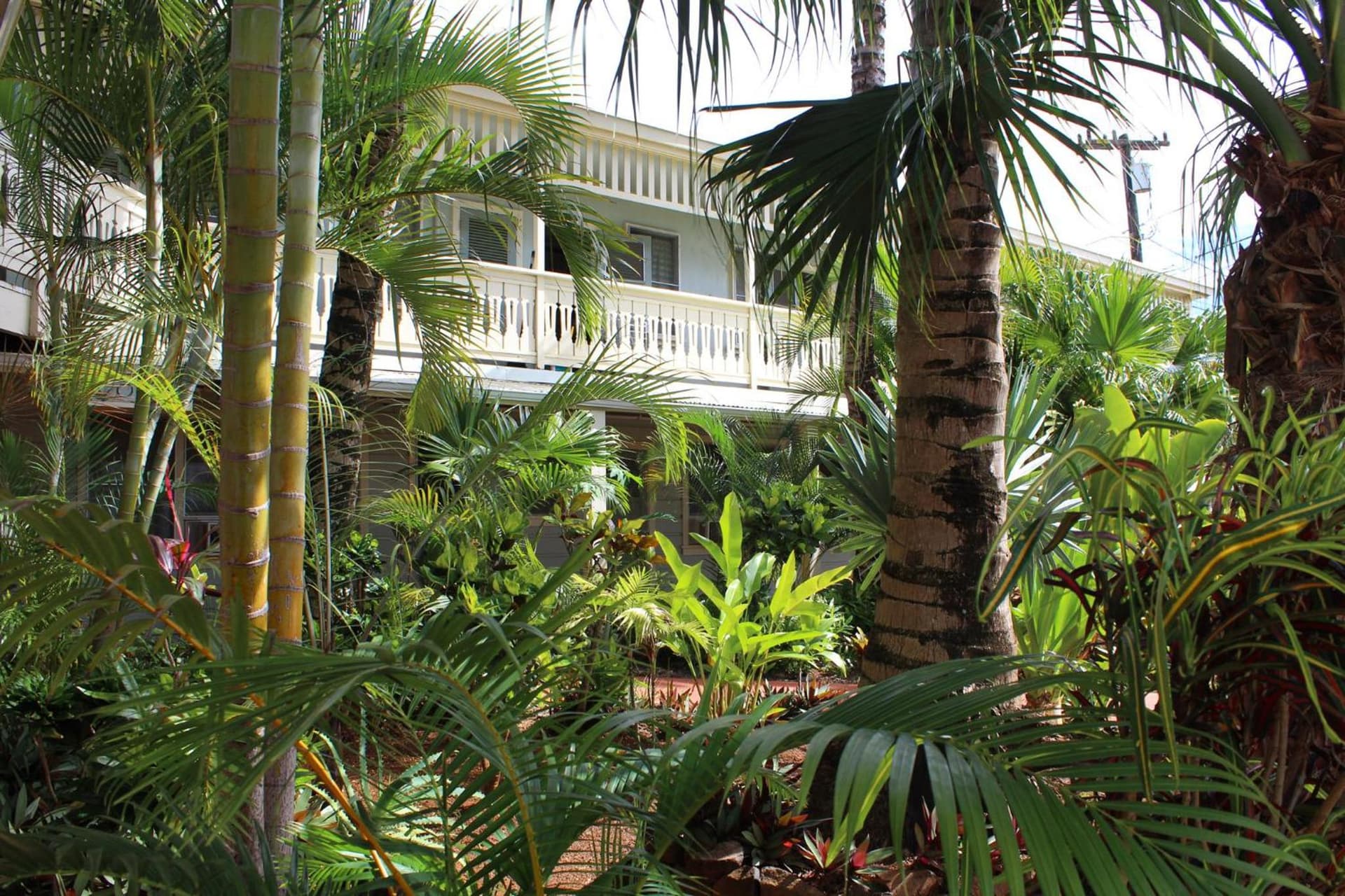 Kauai Palms Hotel property views in Lihue, HI — gallery photo 3