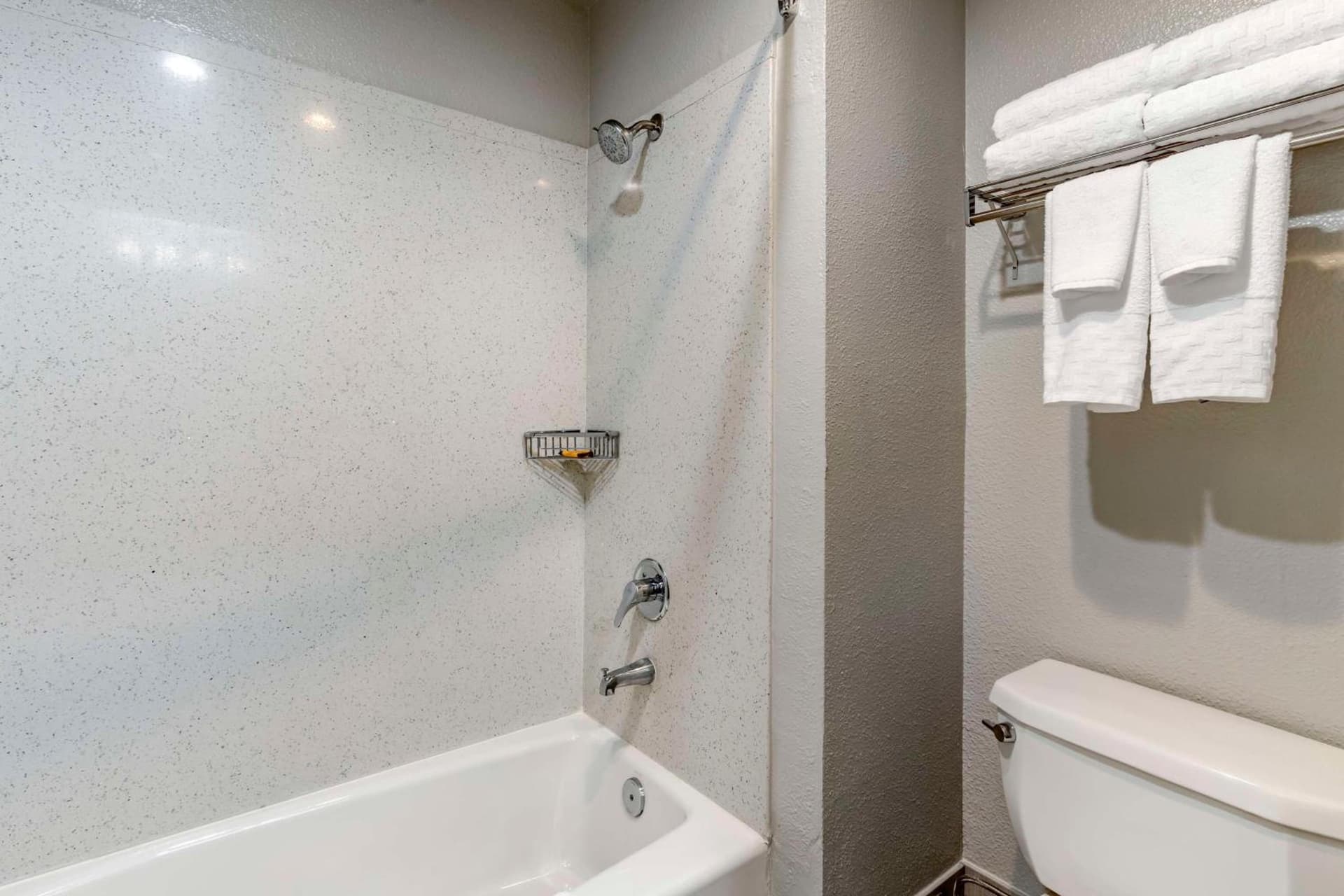 Best Western Plus Vineyard Inn gallery photo in Livermore, CA — image 13