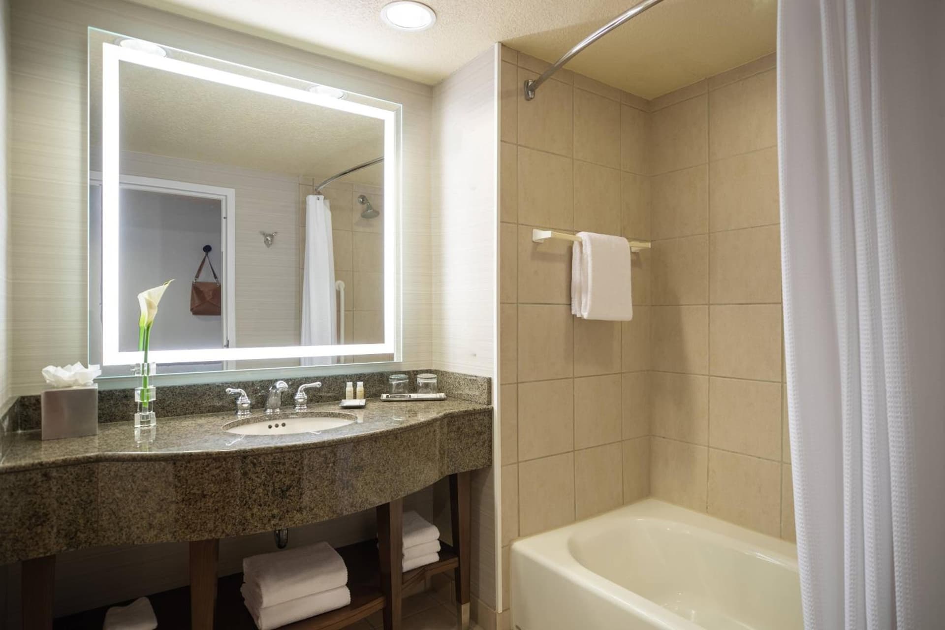 Renaissance Dallas Richardson Hotel gallery photo in Richardson, TX — image 31