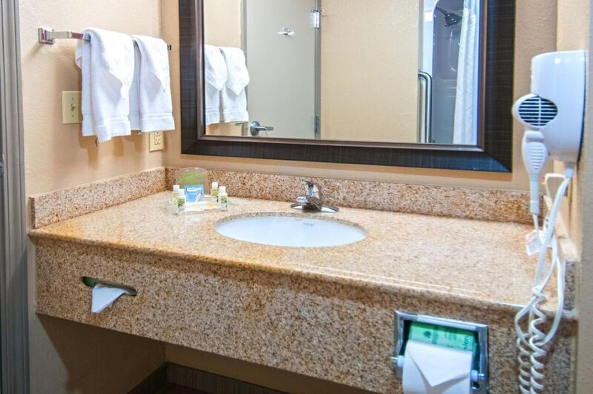 Holiday Inn Hotel & Suites Slidell by IHG gallery photo in Slidell, LA — image 66