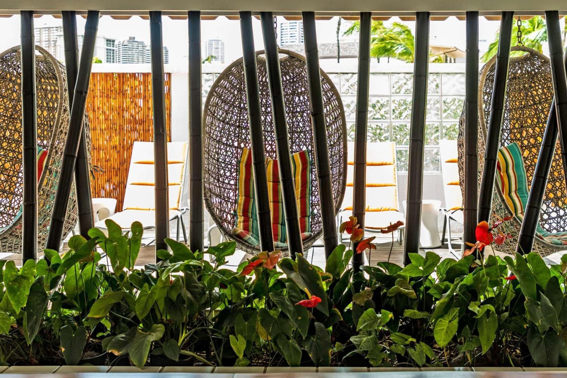 Oasis Hotel Waikiki gallery photo in Honolulu, HI — image 8