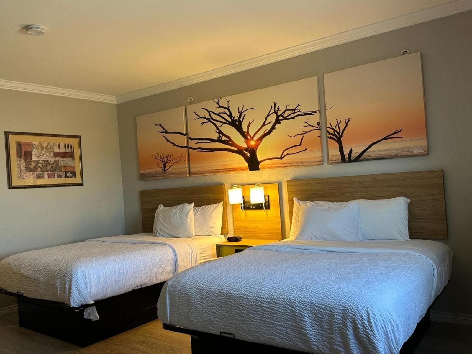 Days Inn by Wyndham Copperas Cove gallery photo in Copperas Cove, TX — image 20