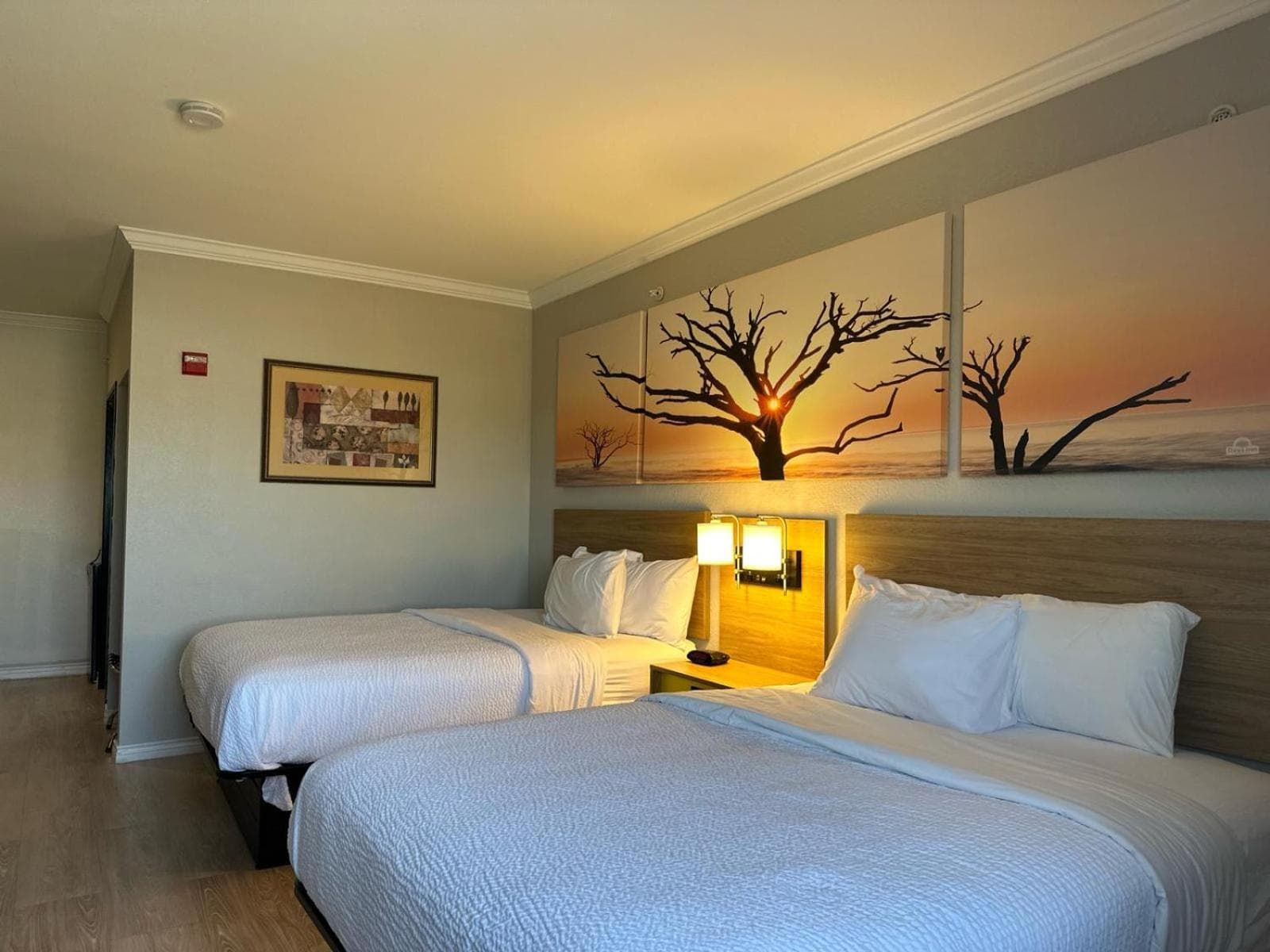Days Inn by Wyndham Copperas Cove gallery photo in Copperas Cove, TX — image 15