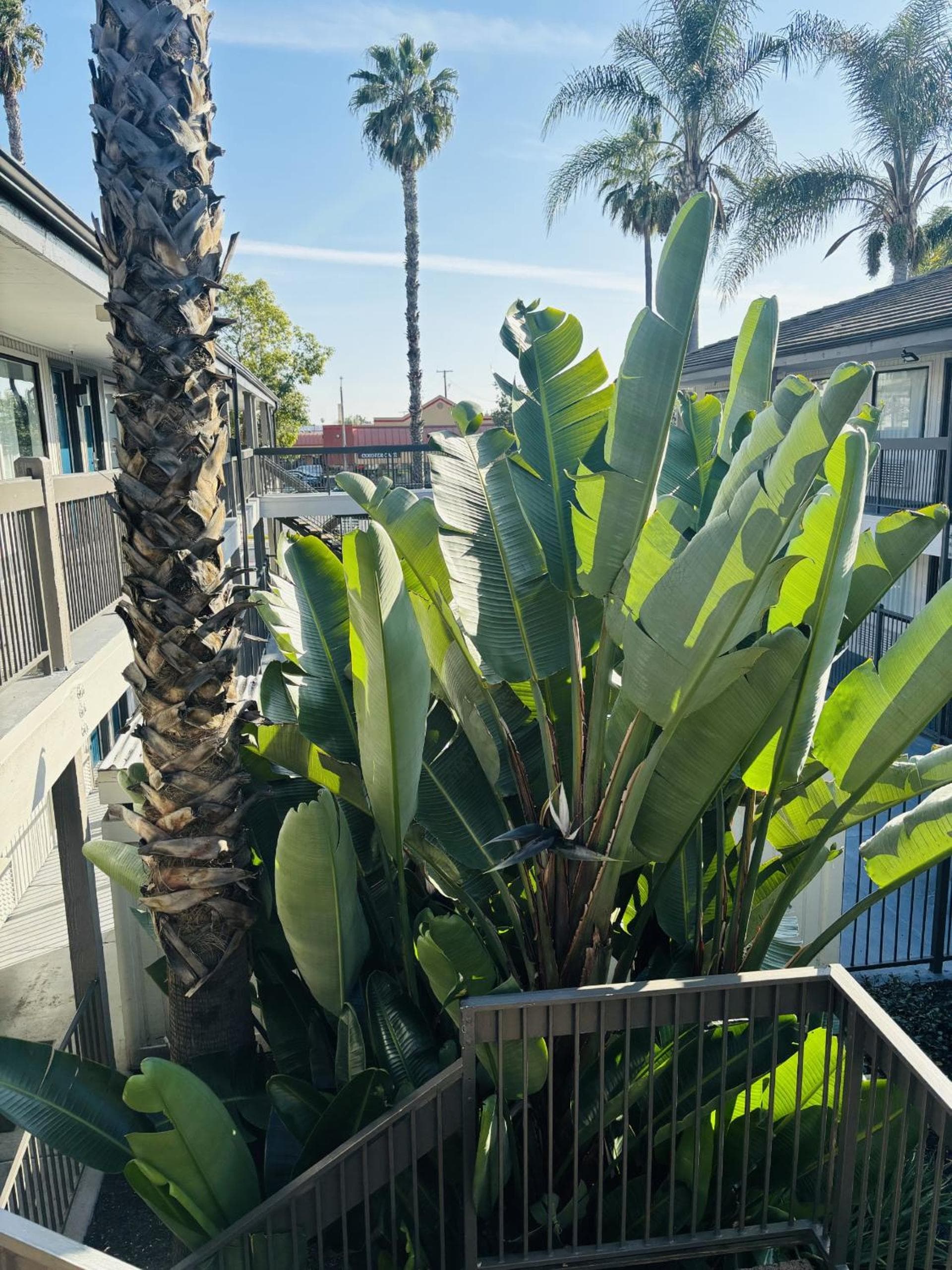Motel 6-Santa Ana, CA gallery photo in Santa Ana, CA — image 63