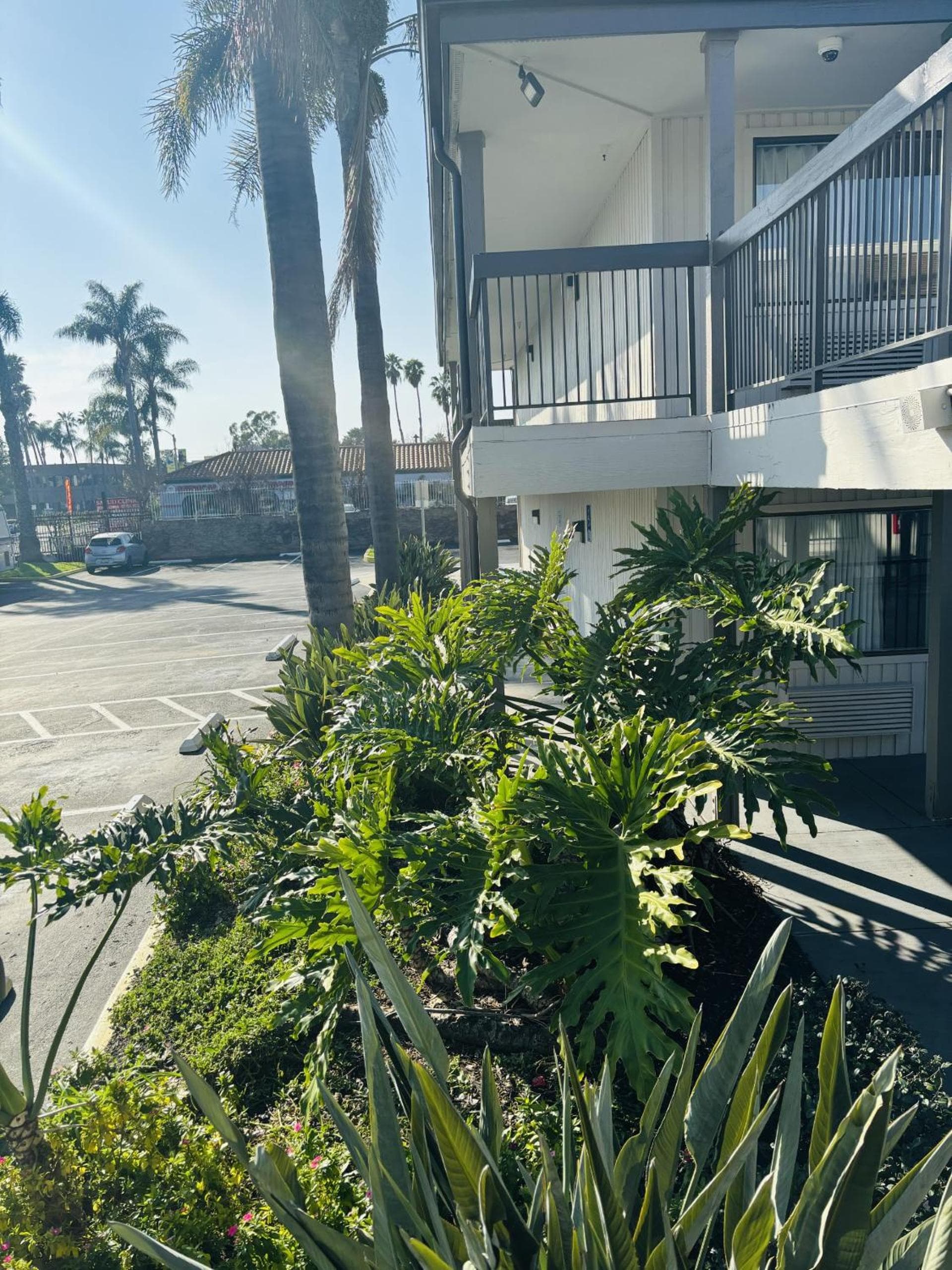 Motel 6-Santa Ana, CA gallery photo in Santa Ana, CA — image 44