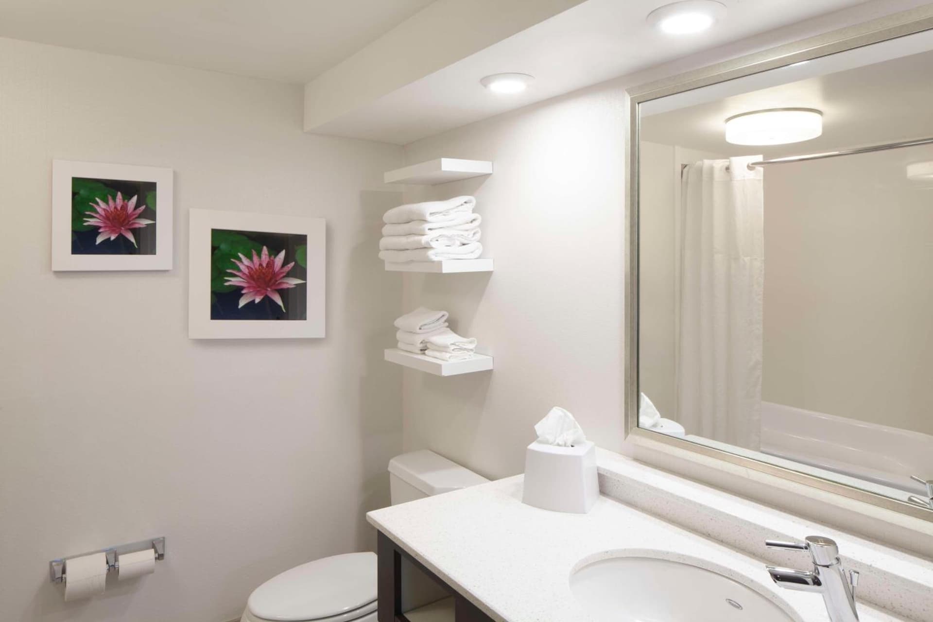 Hampton Inn Charleston-Southridge gallery photo in Charleston, WV — image 10