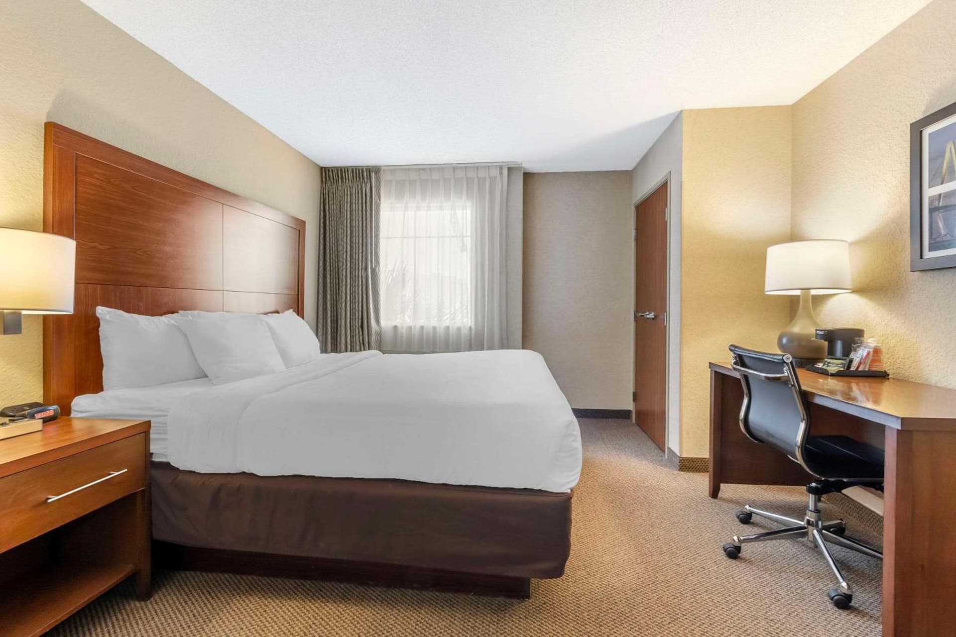 Comfort Inn & Suites Charleston Airport Convention Center property views in Charleston, SC — gallery photo 3