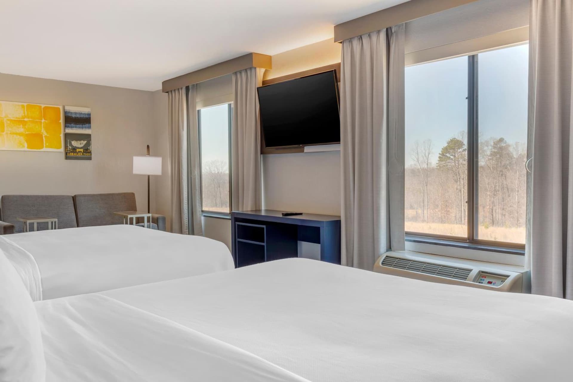 Comfort Suites Whitsett - Greensboro East gallery photo in Whitsett, NC — image 12