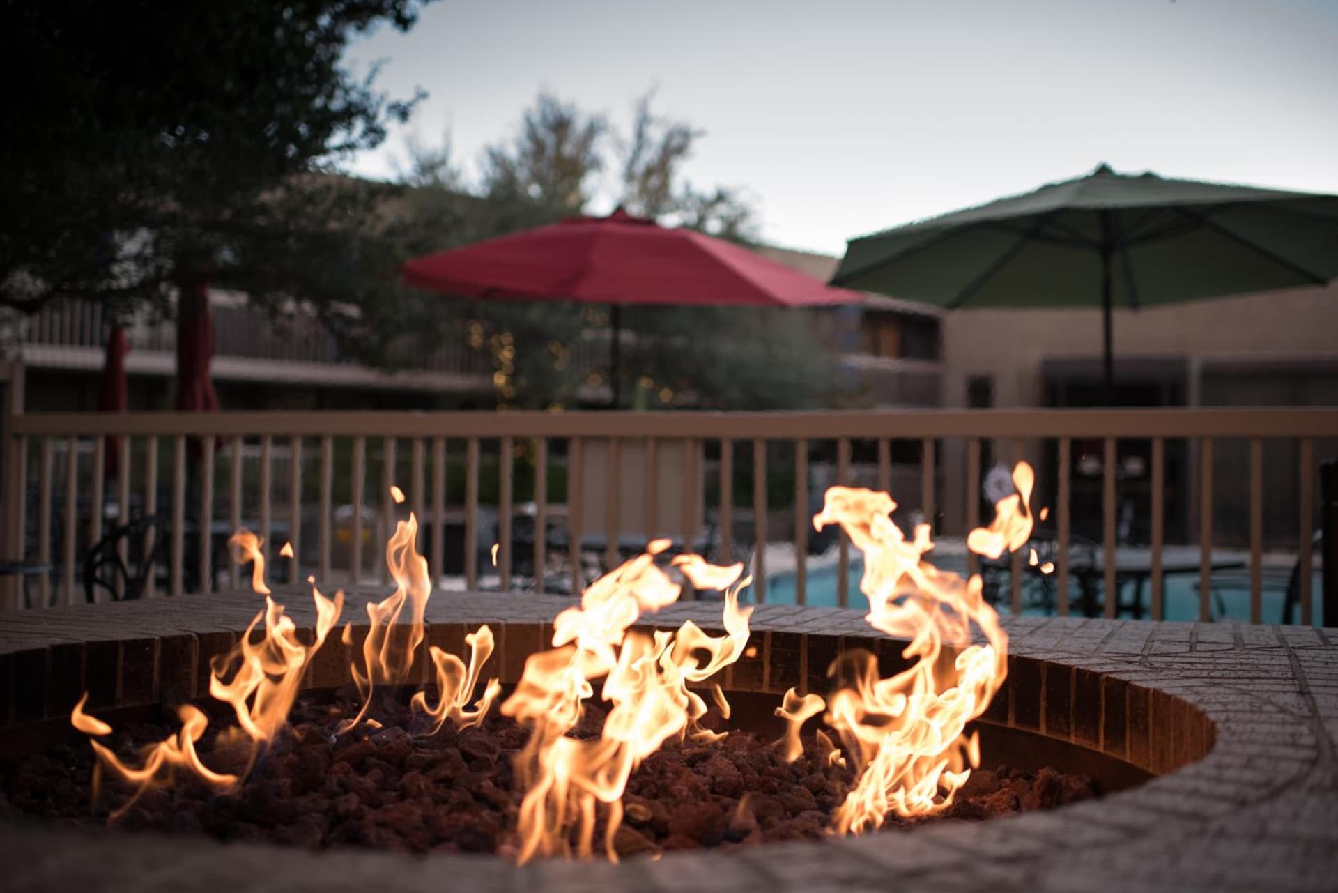 MCM Elegante Hotel gallery photo in Odessa, TX — image 12
