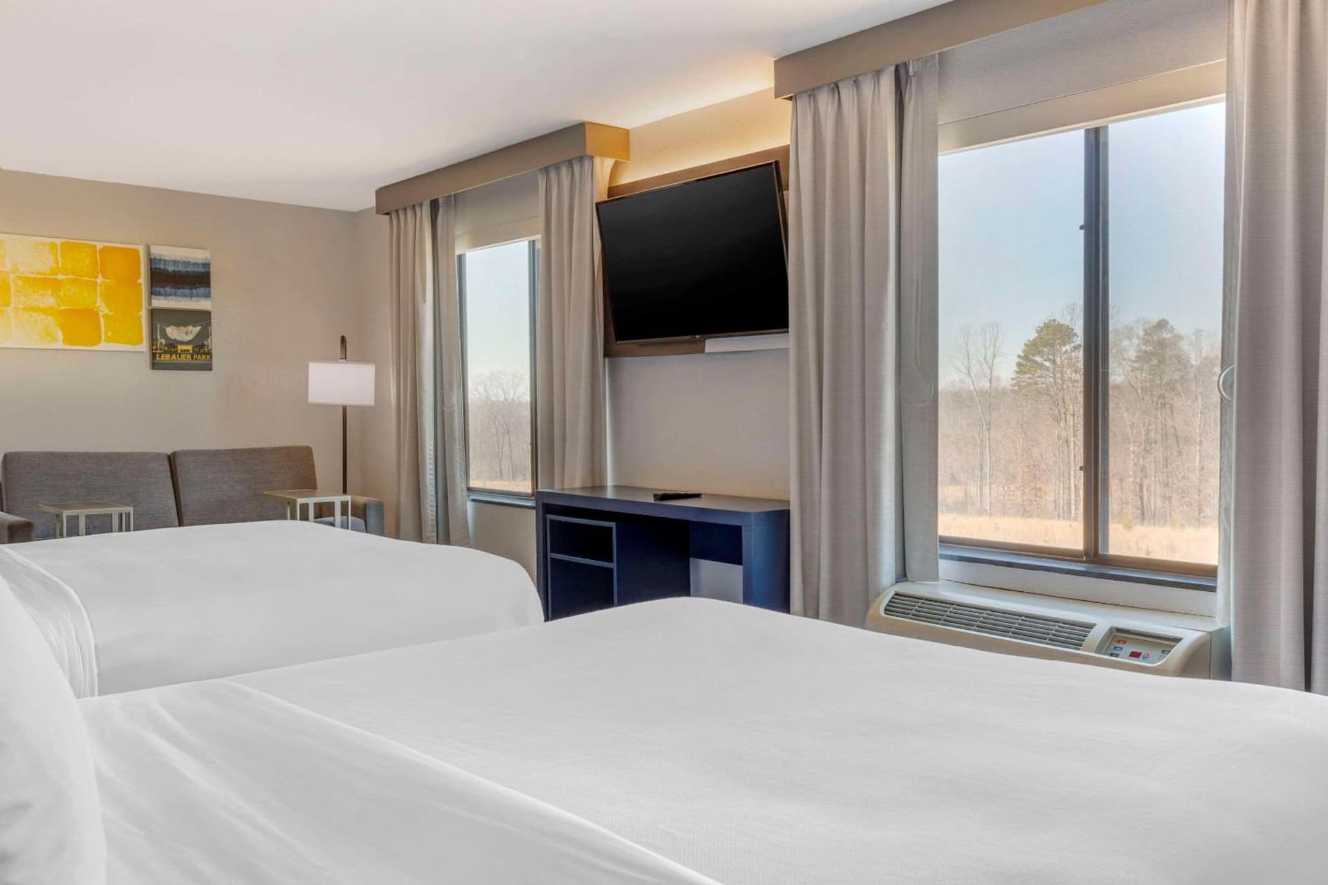 Comfort Suites Whitsett - Greensboro East gallery photo in Whitsett, NC — image 64