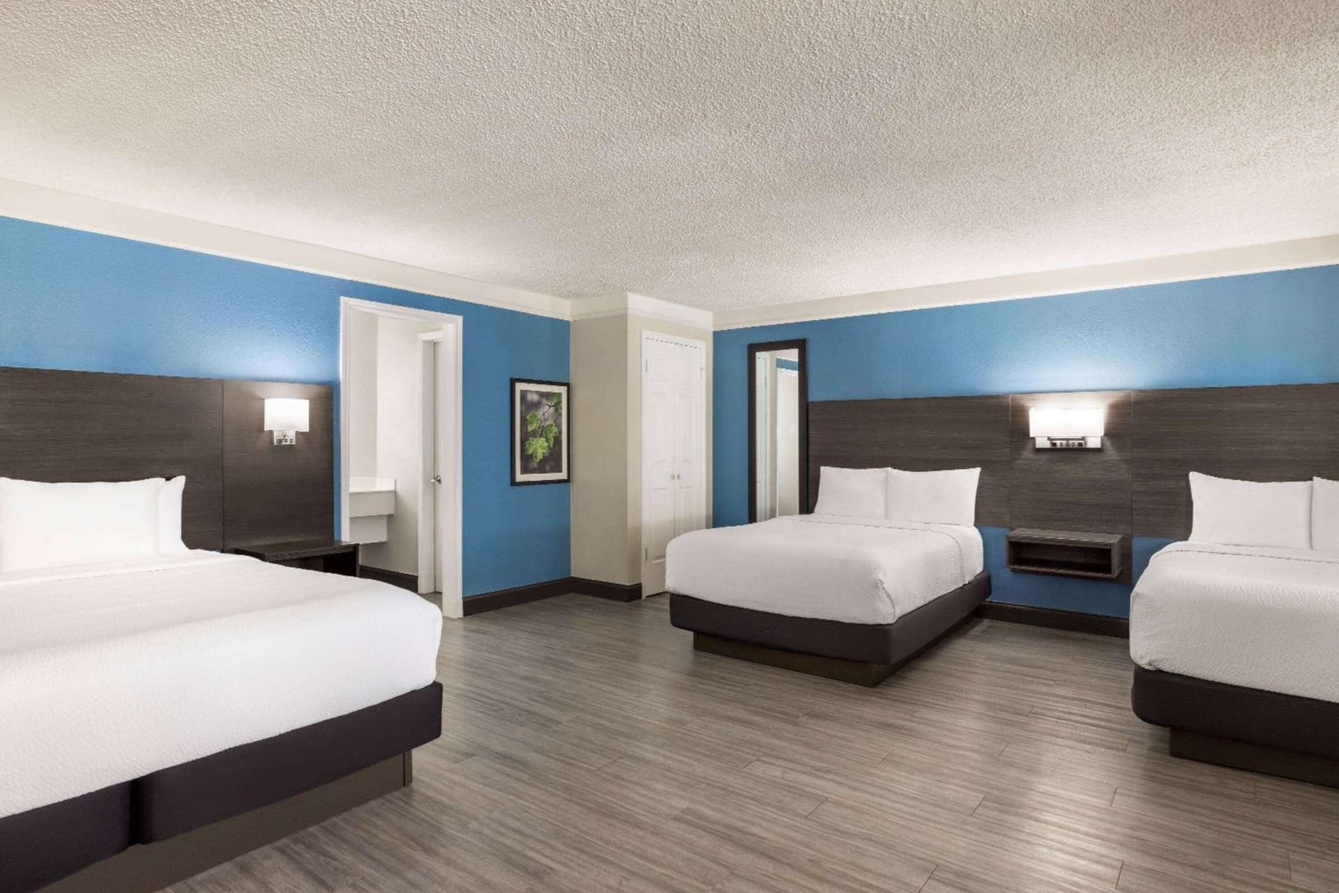 La Quinta Inn by Wyndham San Antonio I-35 N at Toepperwein gallery photo in San Antonio, TX — image 26