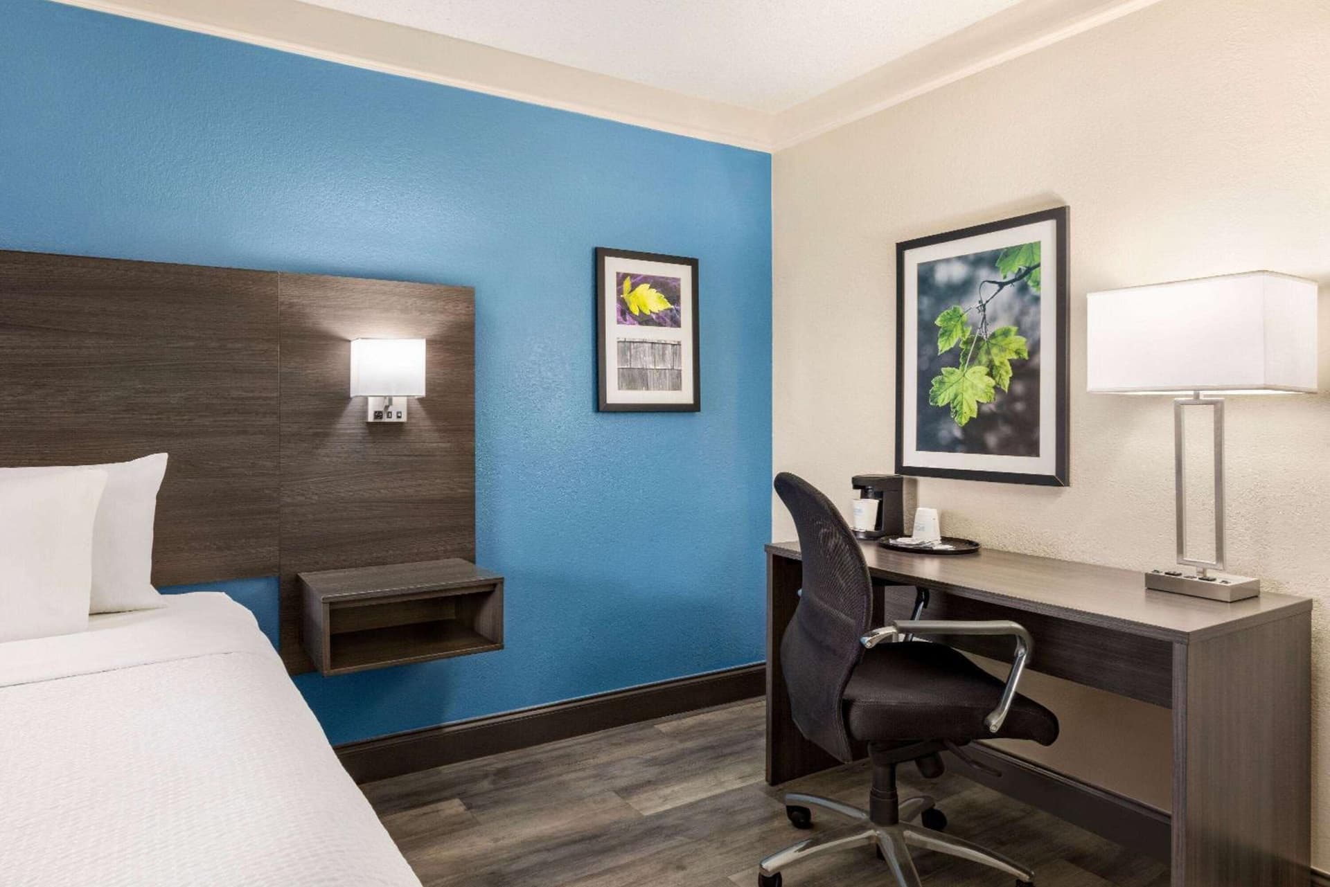 La Quinta Inn by Wyndham San Antonio I-35 N at Toepperwein gallery photo in San Antonio, TX — image 20
