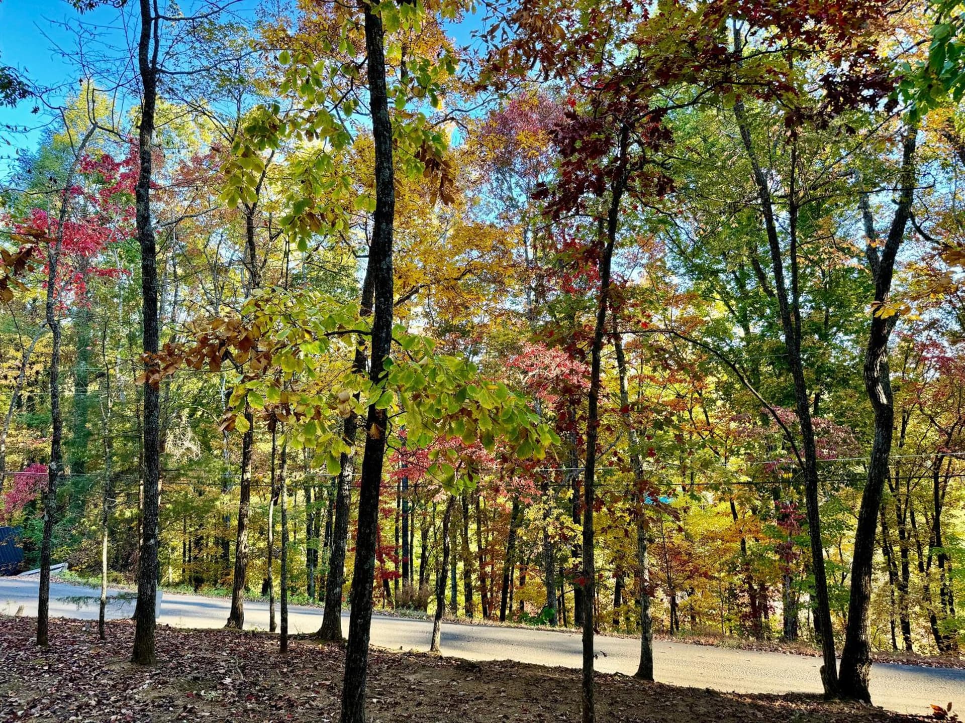 Cornerstone property views in Sevierville, TN — gallery photo 3