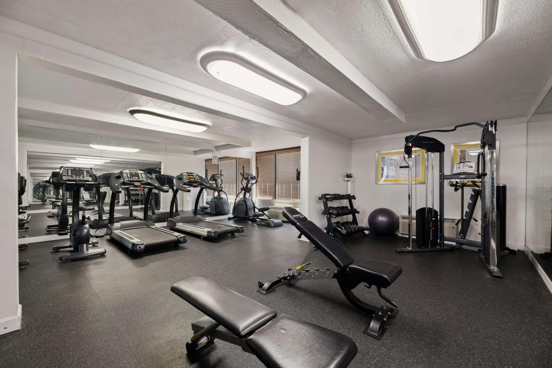 Best Western Orlando Gateway Hotel gallery photo in Orlando, FL — image 46