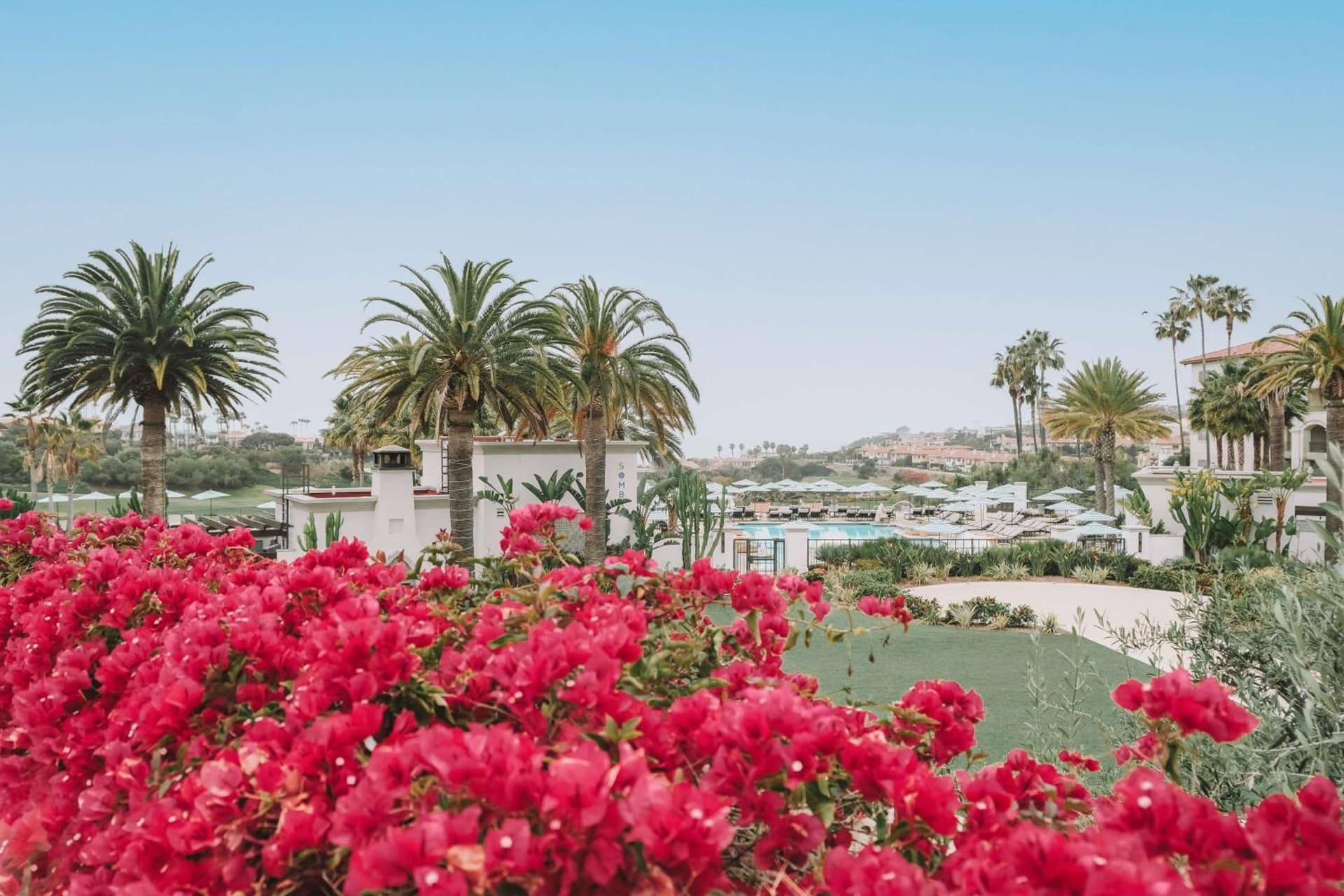Waldorf Astoria Monarch Beach Resort & Club gallery photo in Dana Point, CA — image 25