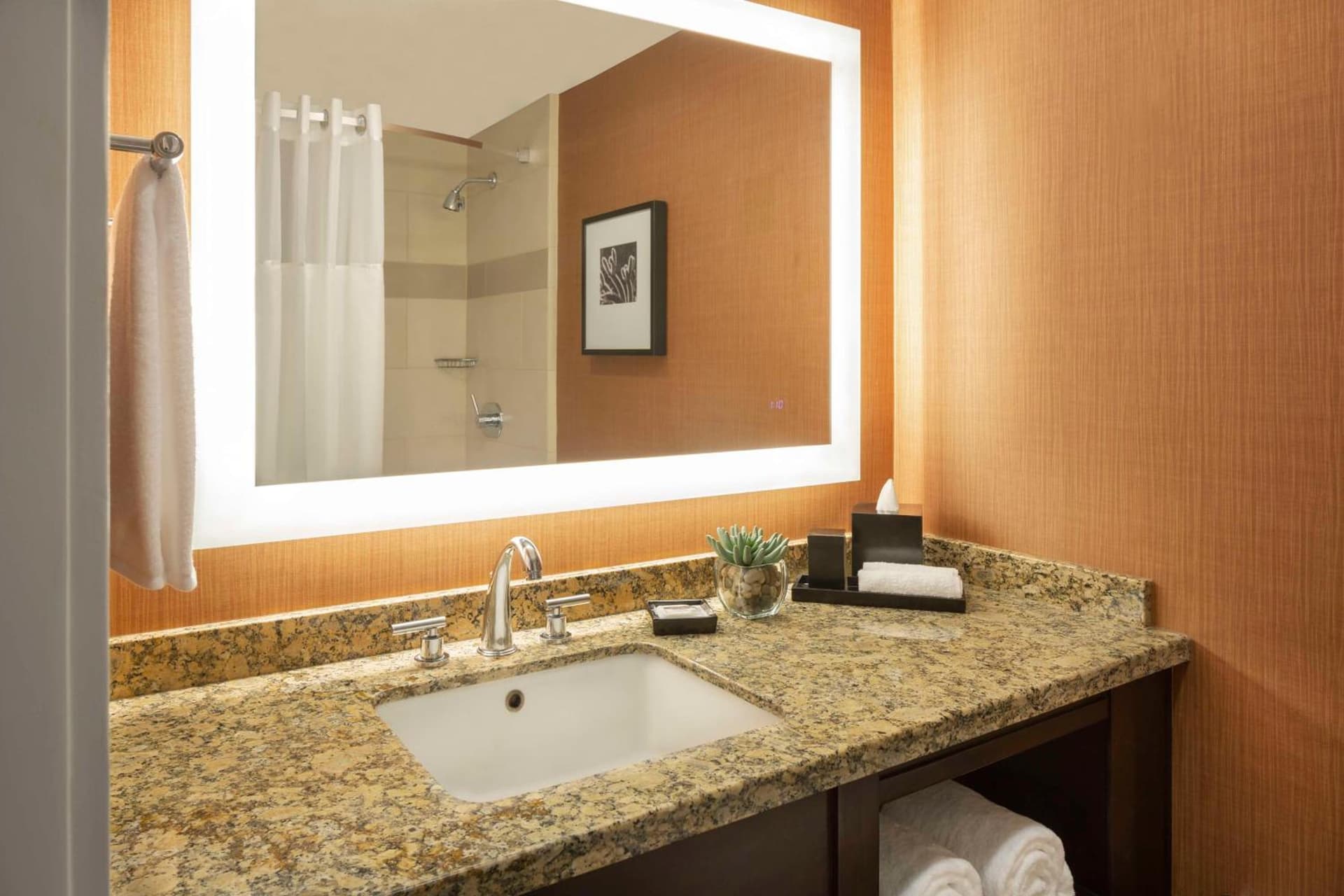 Hyatt Regency Phoenix Downtown gallery photo in Phoenix, AZ — image 27