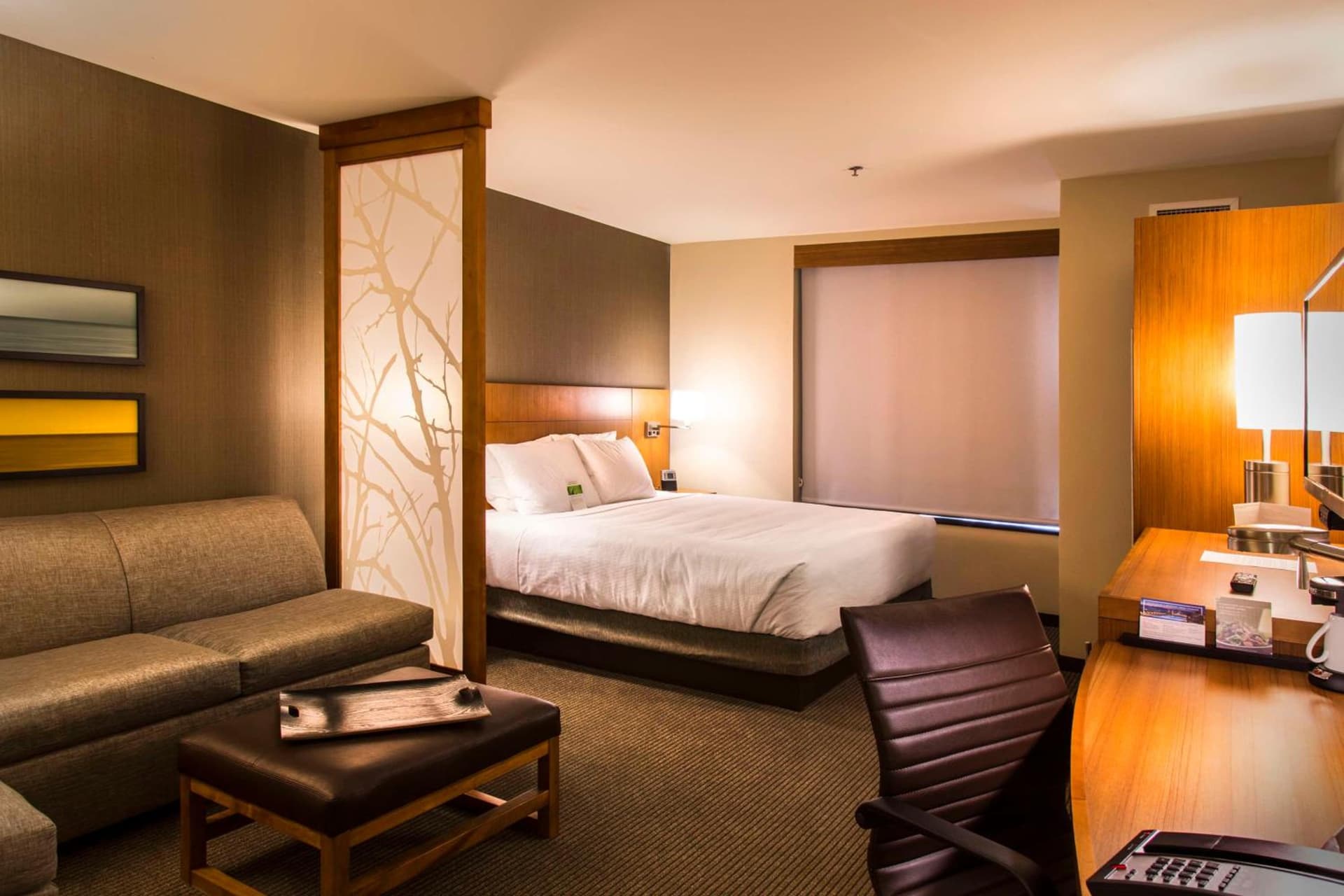 Hyatt Place Charlottesville gallery photo in Charlottesville, VA — image 25