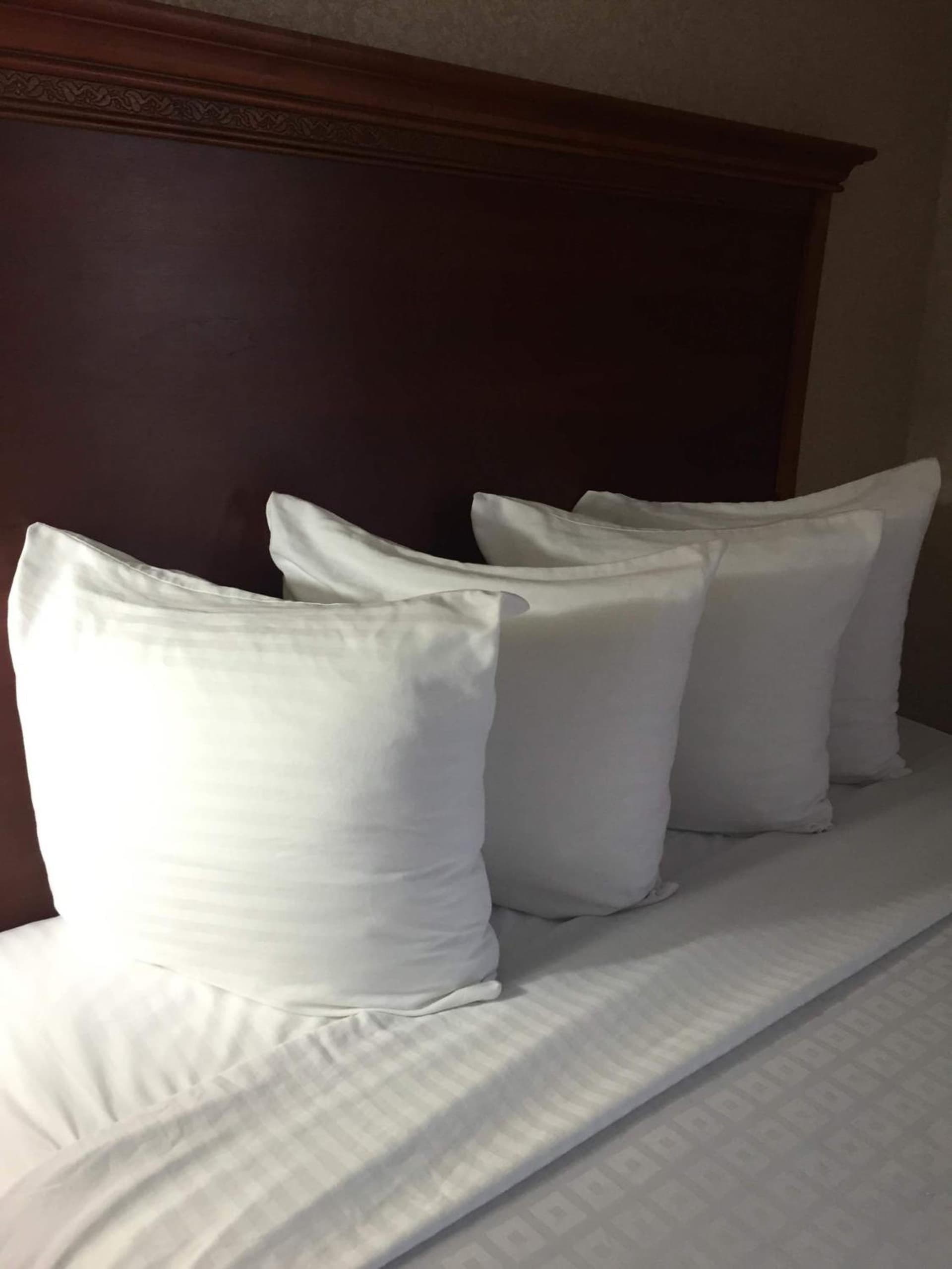 Hotel Pentagon gallery photo in Arlington, VA — image 49
