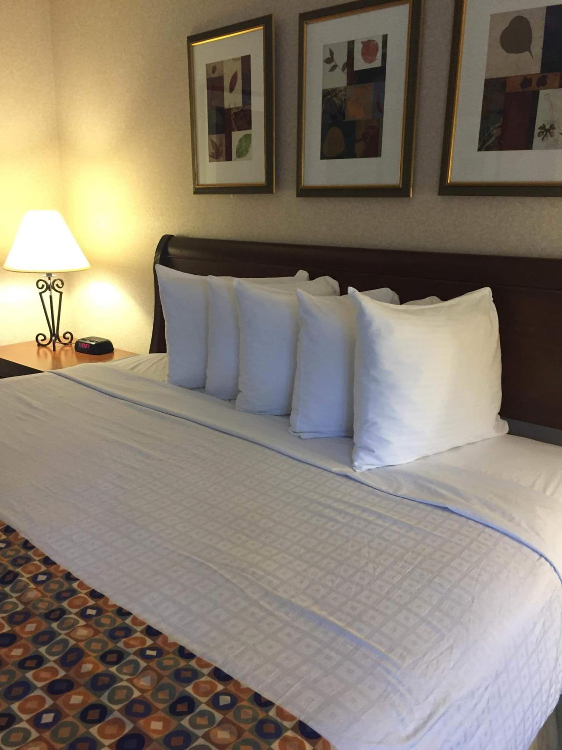 Hotel Pentagon gallery photo in Arlington, VA — image 17