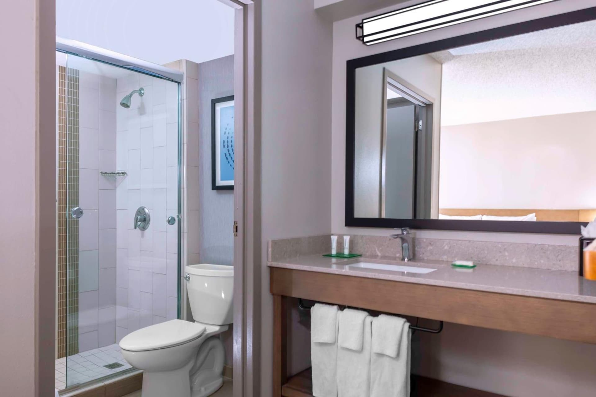 Hyatt Place-Dallas/Arlington gallery photo in Arlington, TX — image 49