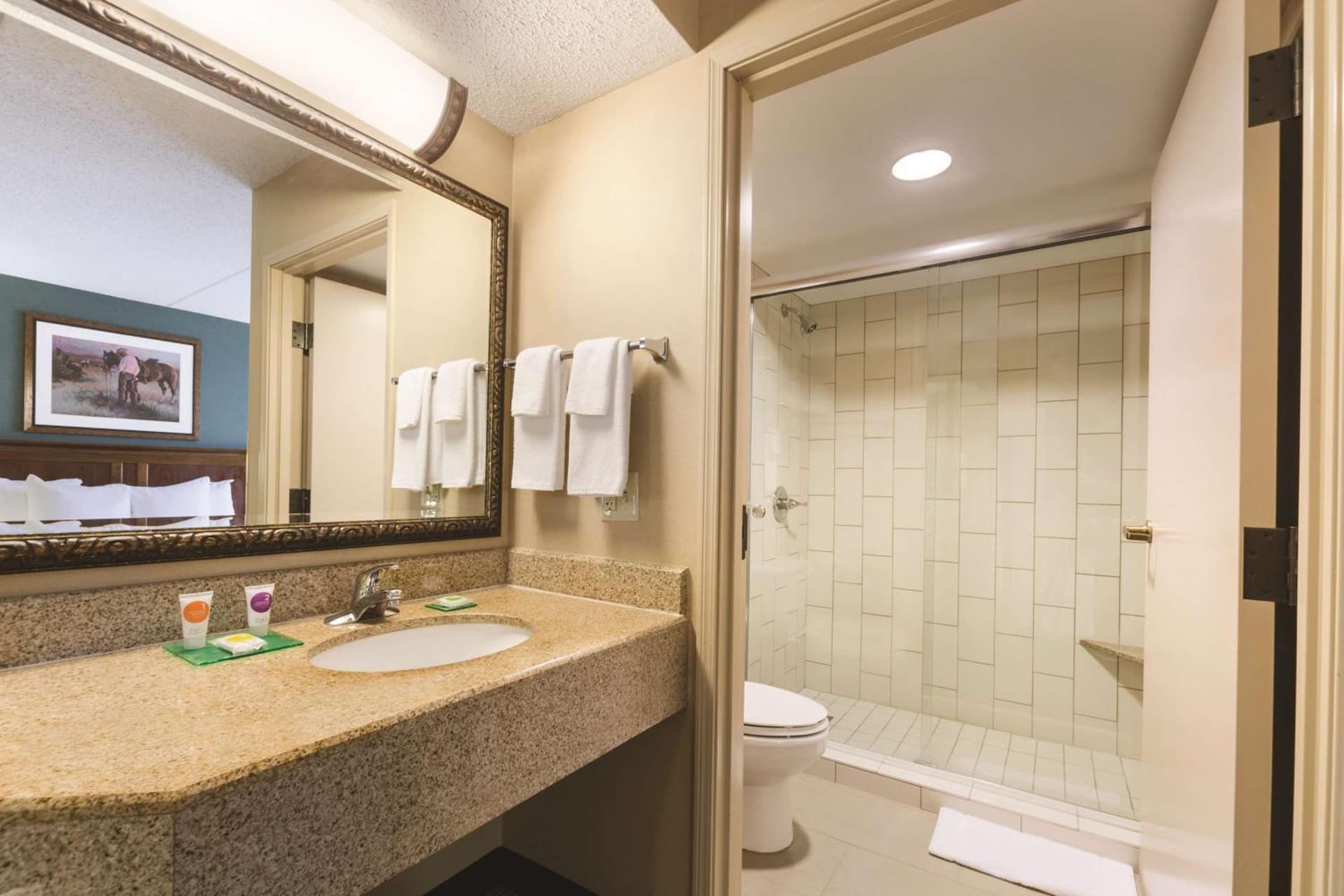 Hyatt Place Fort Worth Stockyard gallery photo in Fort Worth, TX — image 26