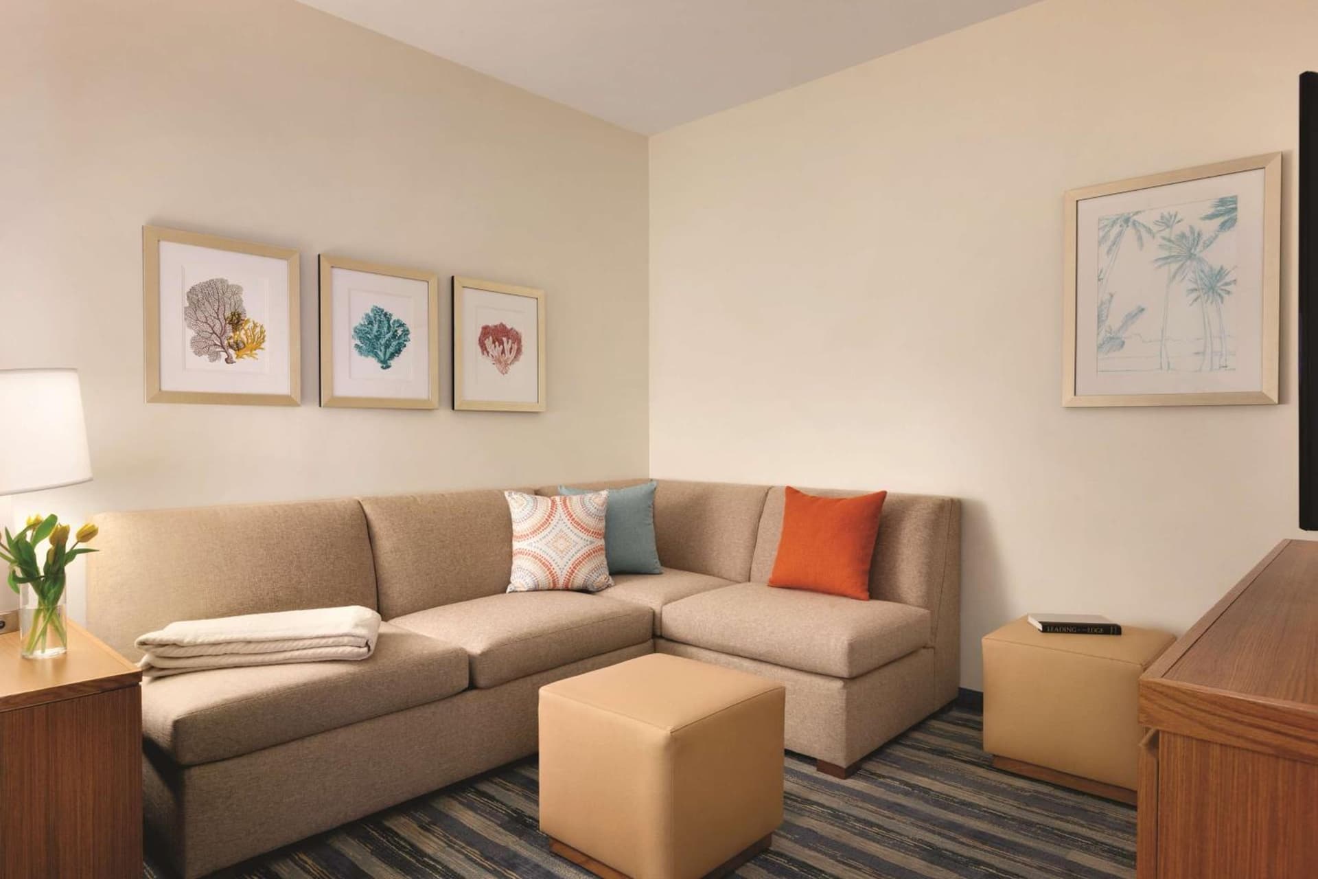 Hyatt House Virginia Beach / Oceanfront gallery photo in Virginia Beach, VA — image 15