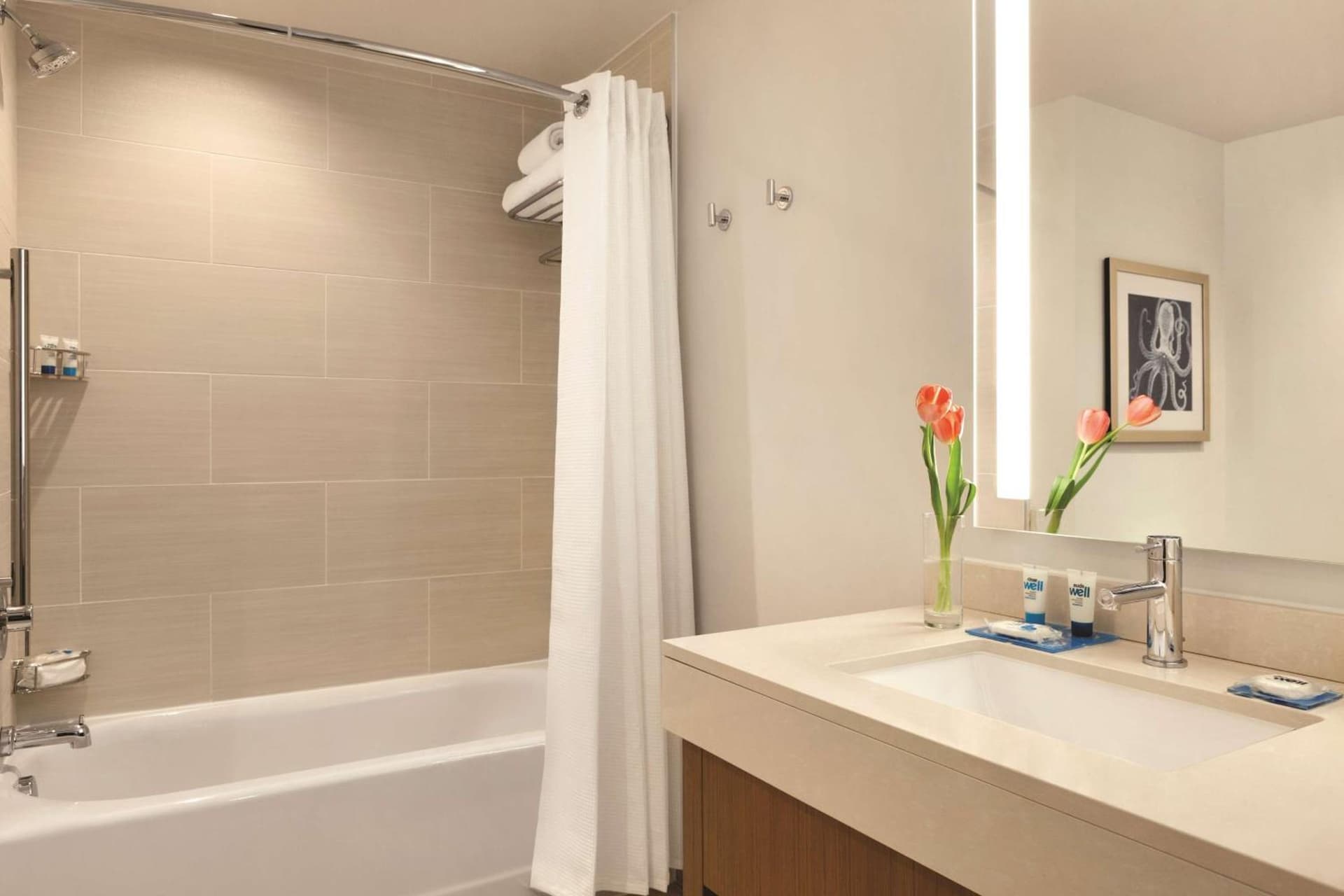 Hyatt House Virginia Beach / Oceanfront gallery photo in Virginia Beach, VA — image 22