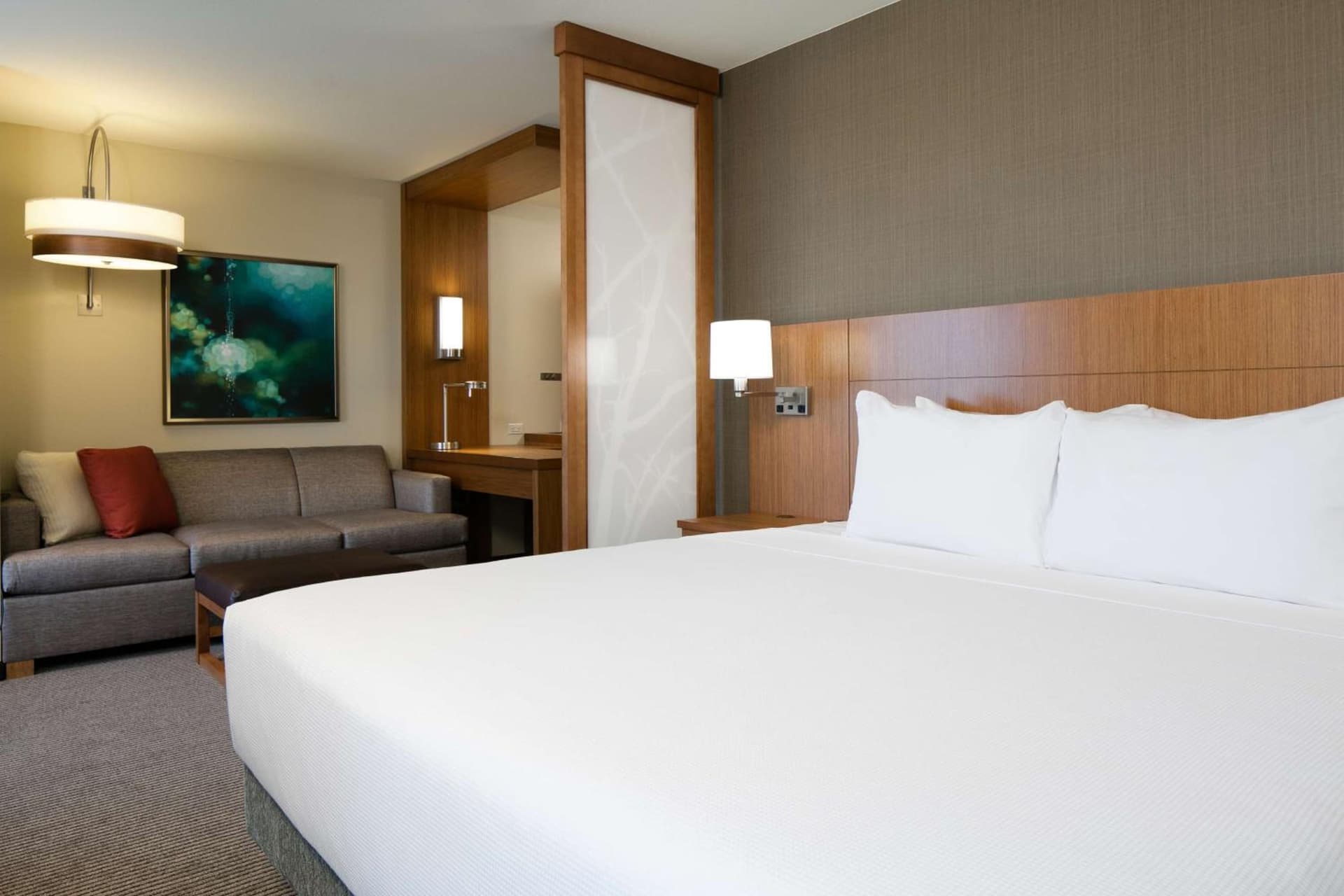 Hyatt Place Kansas City Lenexa City Center gallery photo in Lenexa, KS — image 87