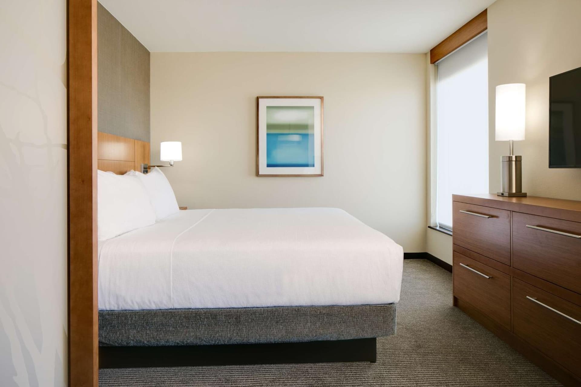 Hyatt Place Kansas City Lenexa City Center gallery photo in Lenexa, KS — image 93
