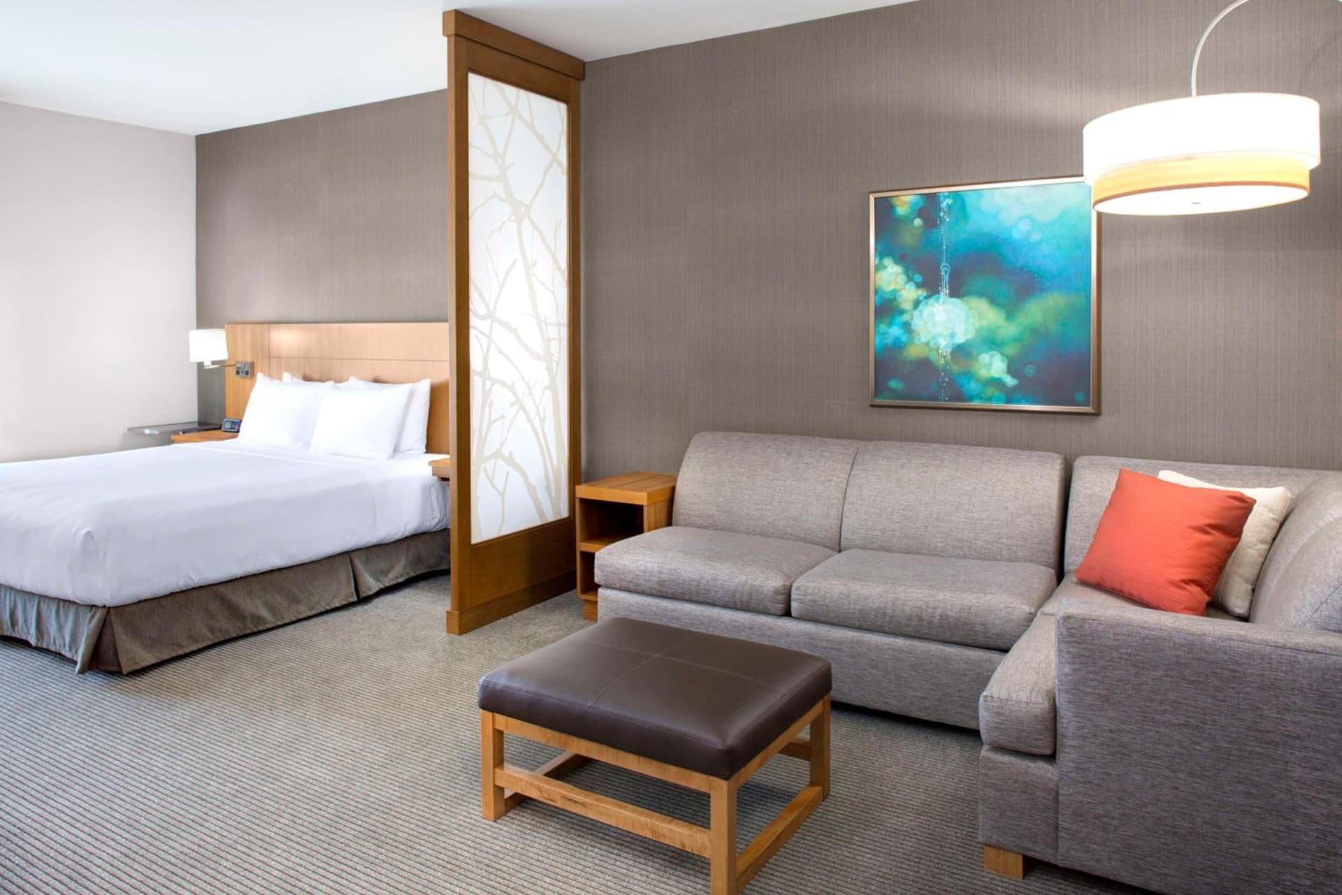 Hyatt Place Dallas/The Colony gallery photo in The Colony, TX — image 44