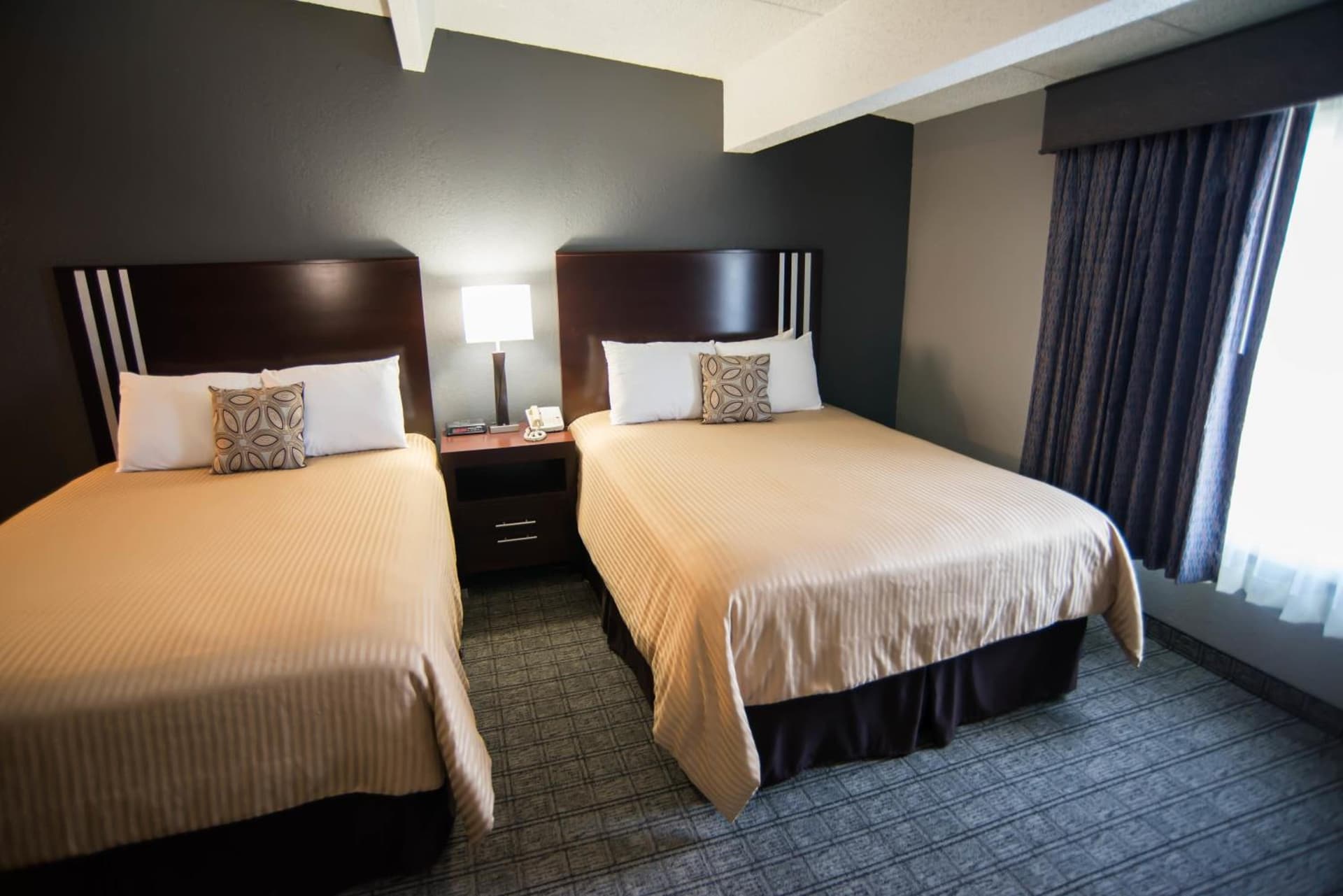 Red Lion Inn & Suites Urbana gallery photo in Champaign, IL — image 38