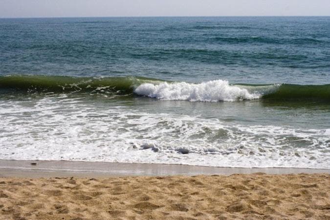 Oceanview Lodge gallery photo in St. Augustine, FL — image 54