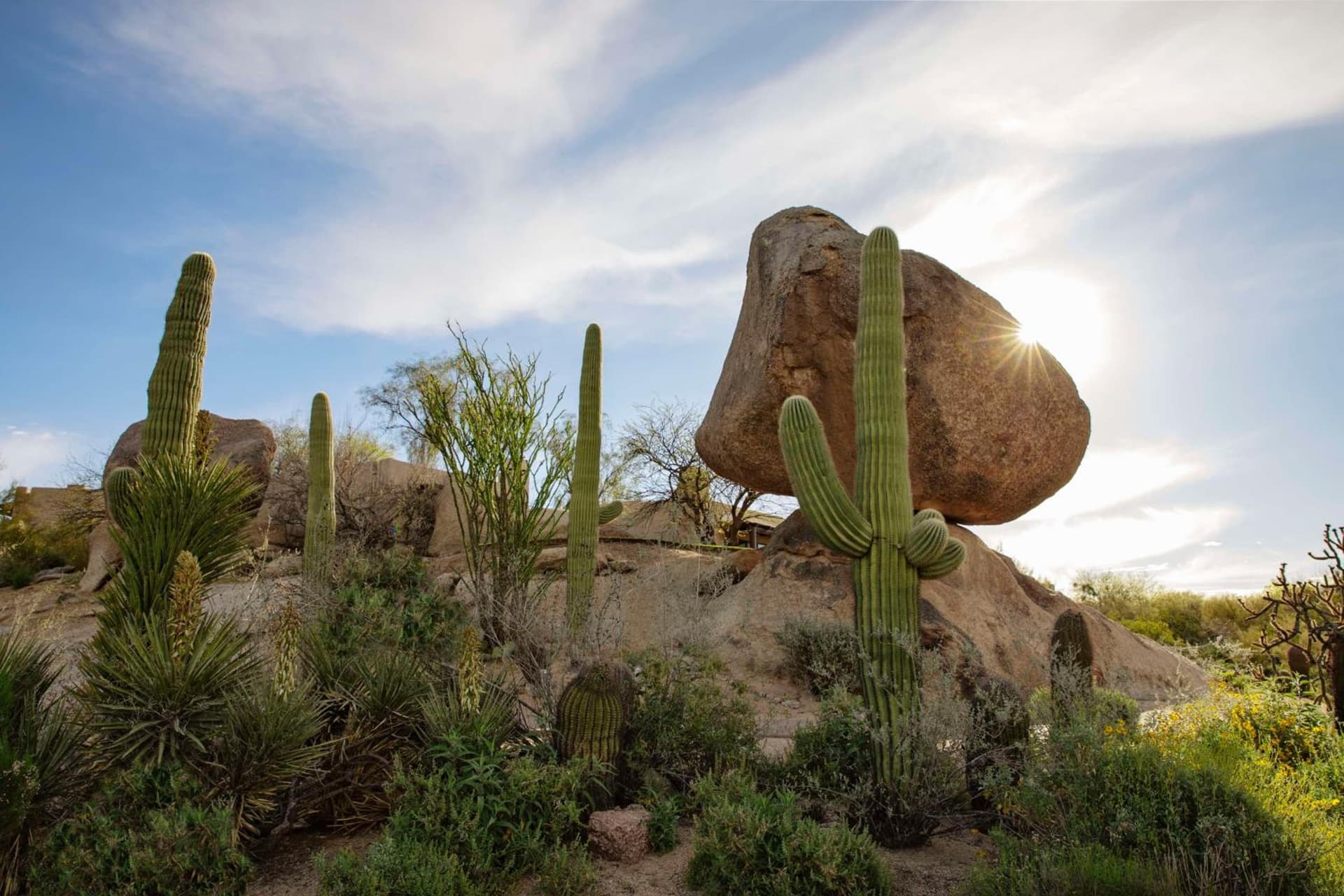 Boulders Resort & Spa Scottsdale, Curio Collection by Hilton gallery photo in Scottsdale, AZ — image 96
